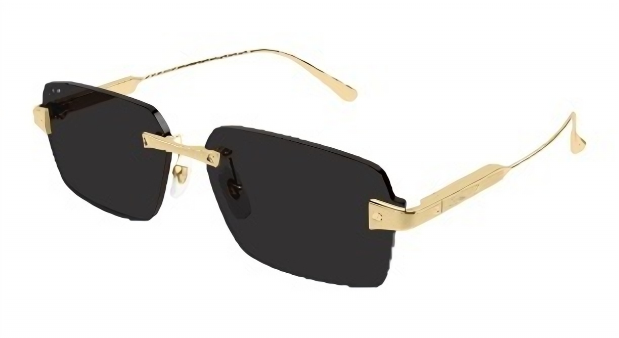 Cartier CT0678S Sunglasses eyewear