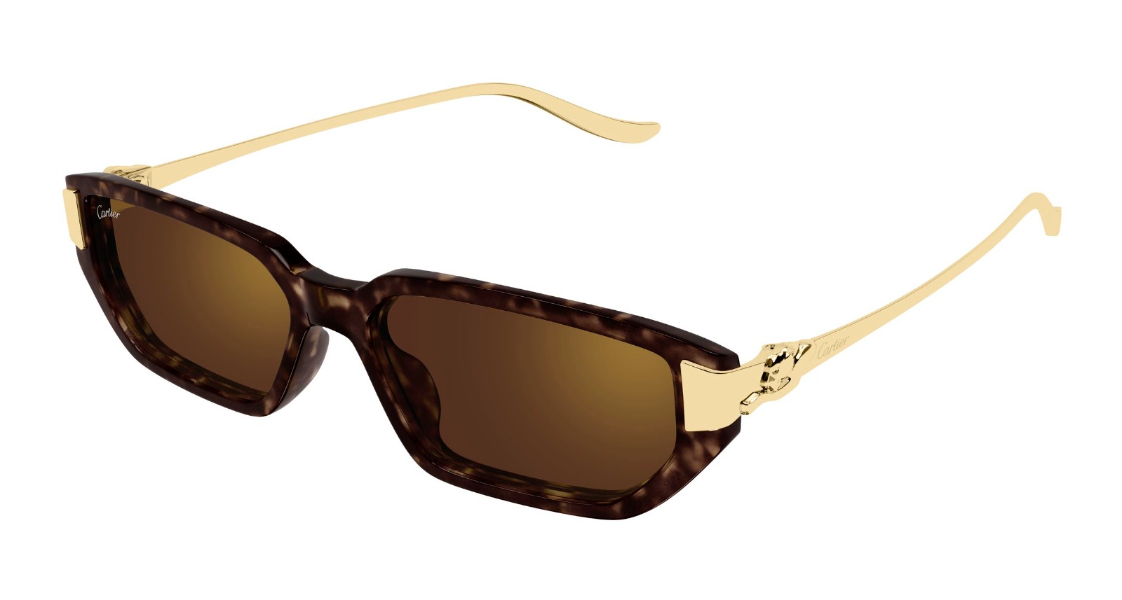 Cartier CT0674S Sunglasses eyewear