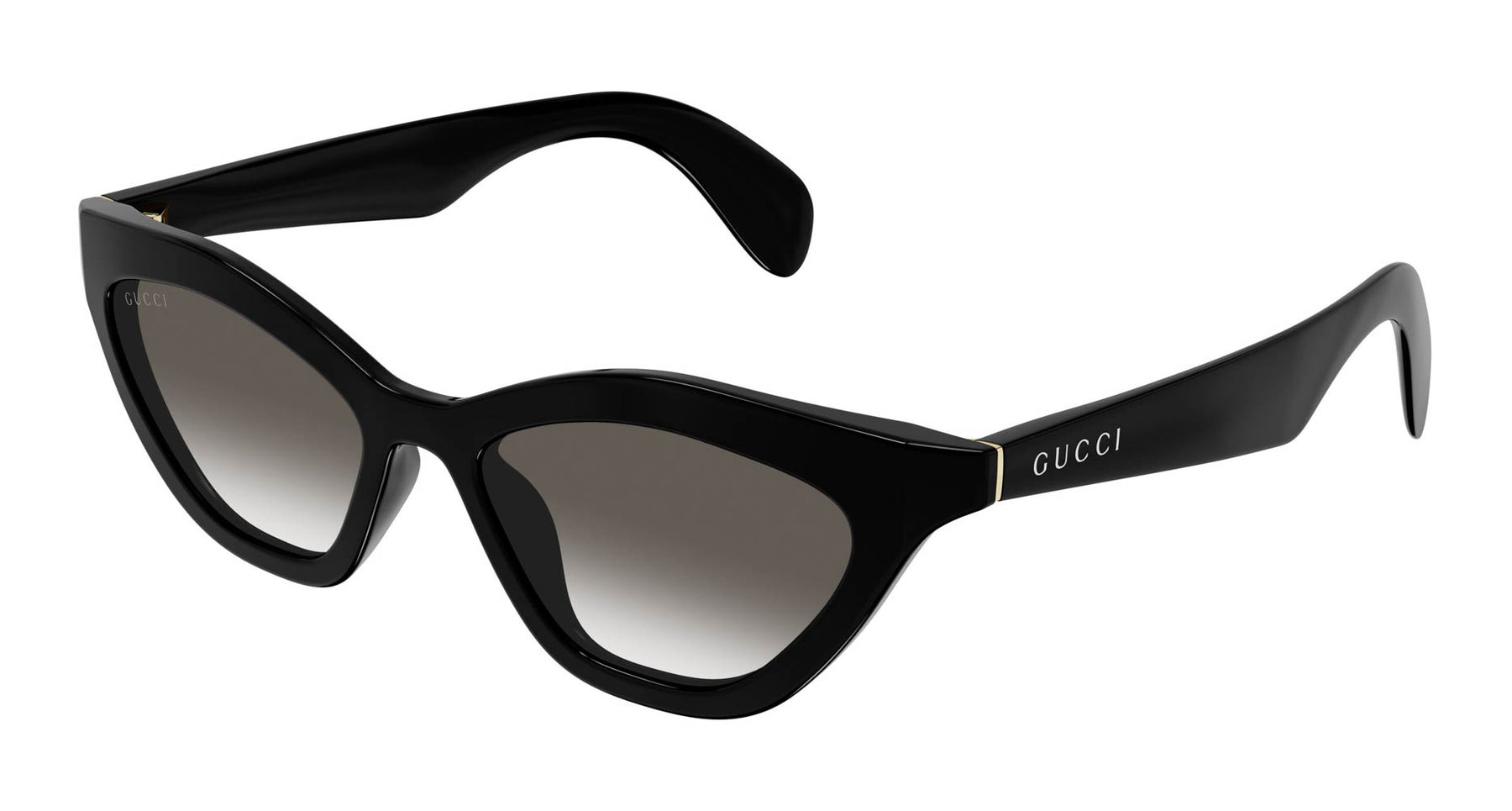 Gucci GG1931S-001 Sunglasses eyewear