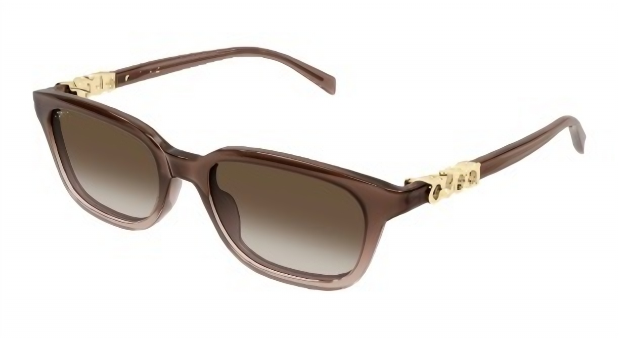 Gucci GG2208S Sunglasses eyewear