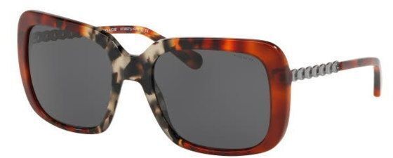 Coach HC8237 Sunglasses eyewear