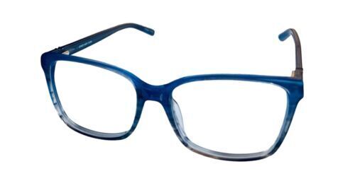 Polaroid PLD321 Eyeglasses eyewear