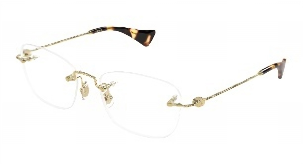 Valentino VG0065o Eyeglasses eyewear