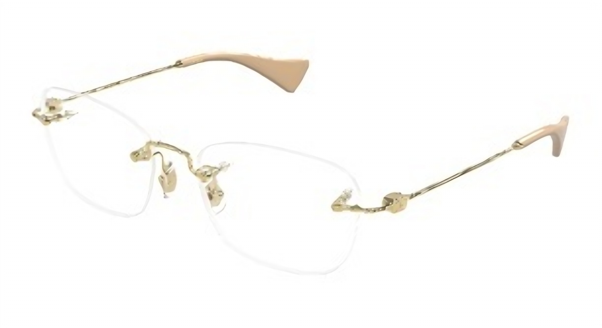 Valentino VG0065o Eyeglasses eyewear