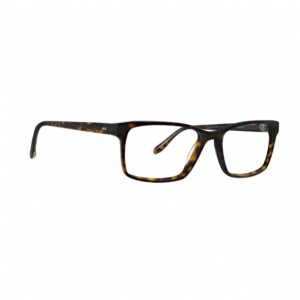 Badgley Mischka STAMMOND Eyeglasses eyewear