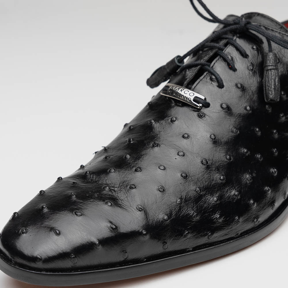 Criss Herren Schwarz Vollschaft Straußenhaut Oxford Schuhe | Marco Di Milano - Bild 11 von 16