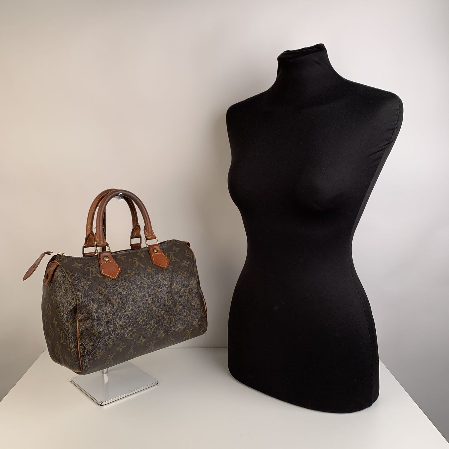 Louis Vuitton Speedy Most Popular Sizes Paul Smith