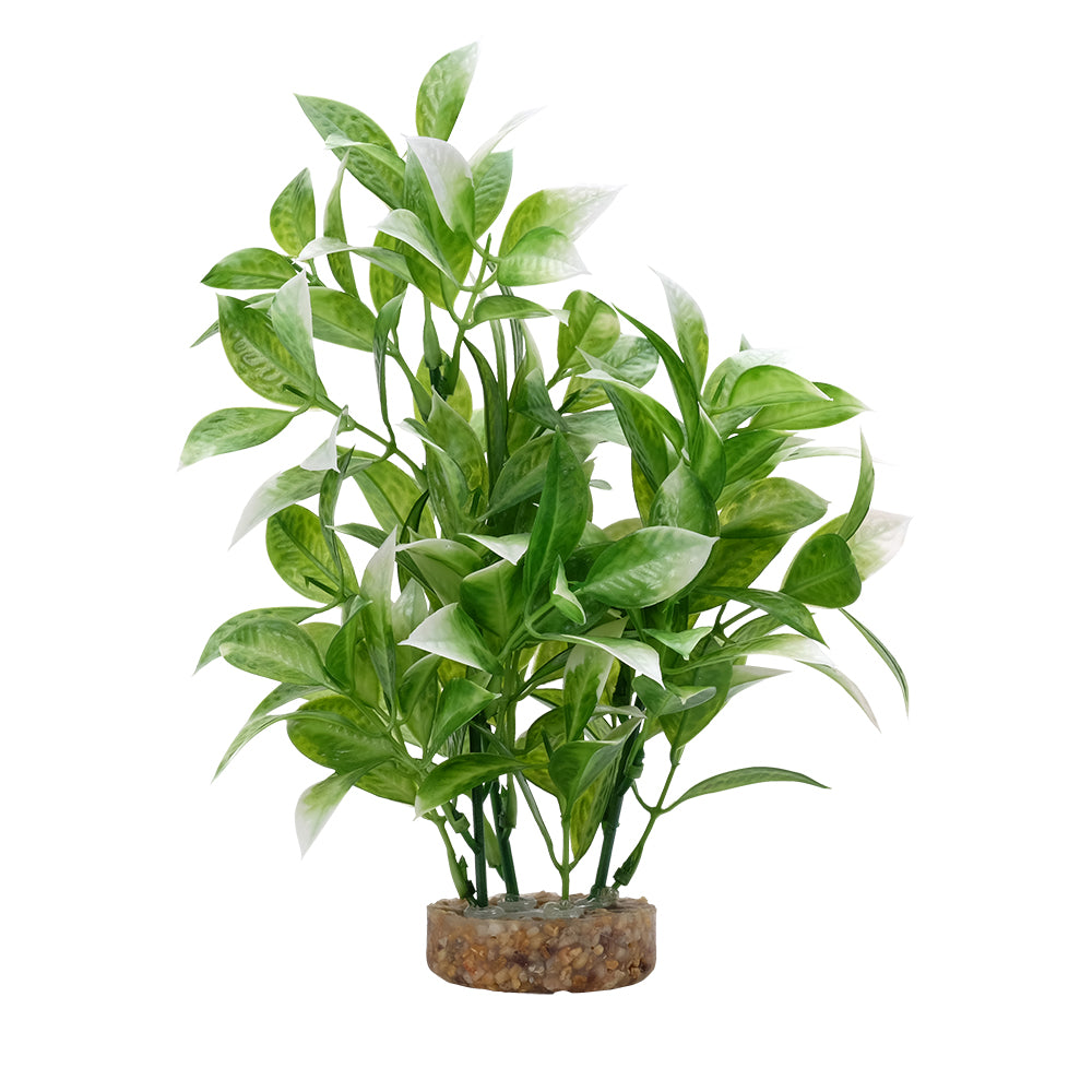 Fluval Aqualife White Tipped Ludwigia Plant
