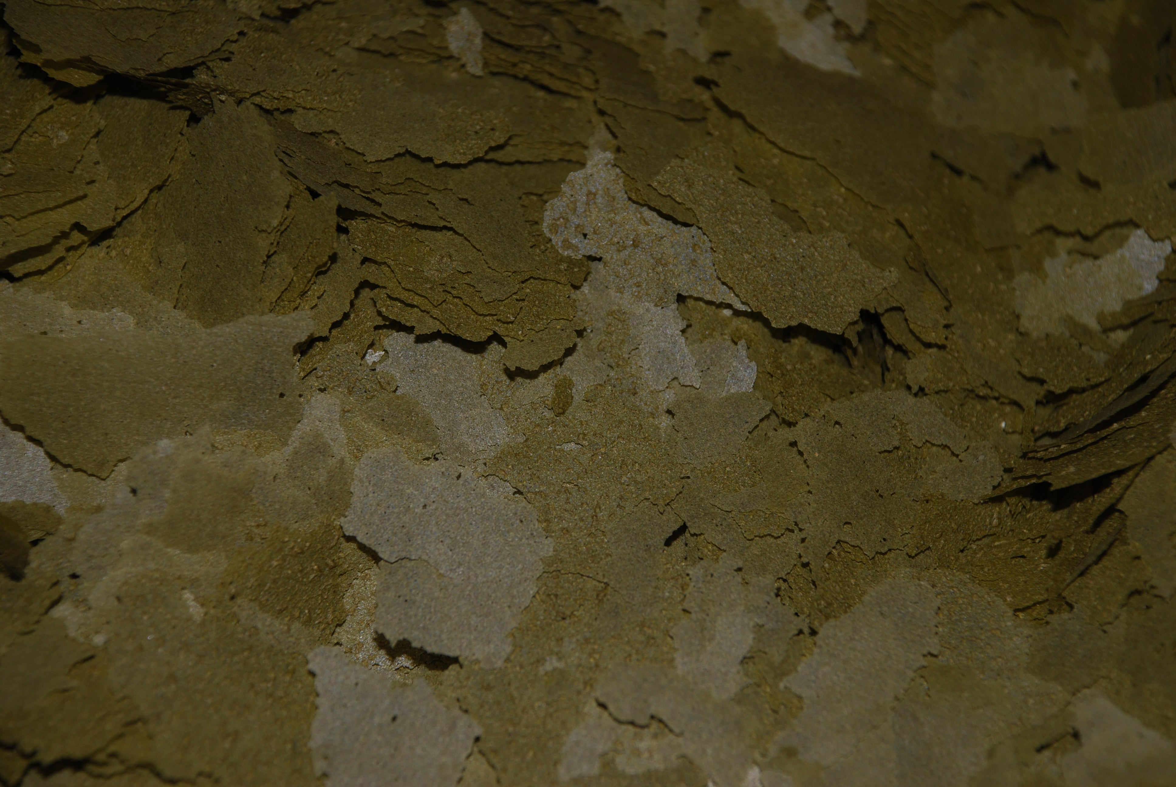 Bild 3 von 8