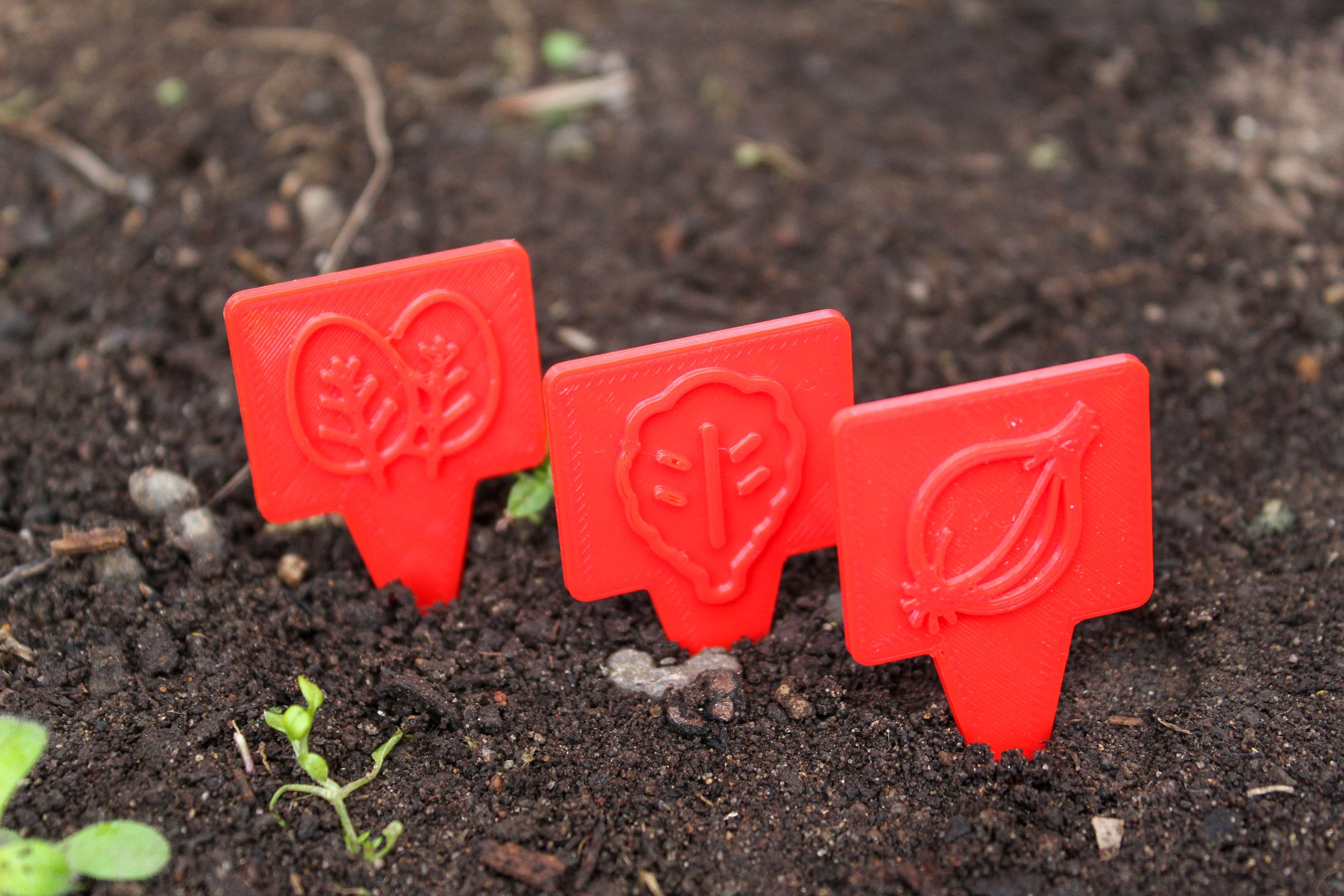 Set of 20 Unique Garden Signs - 第 16/280 張圖片