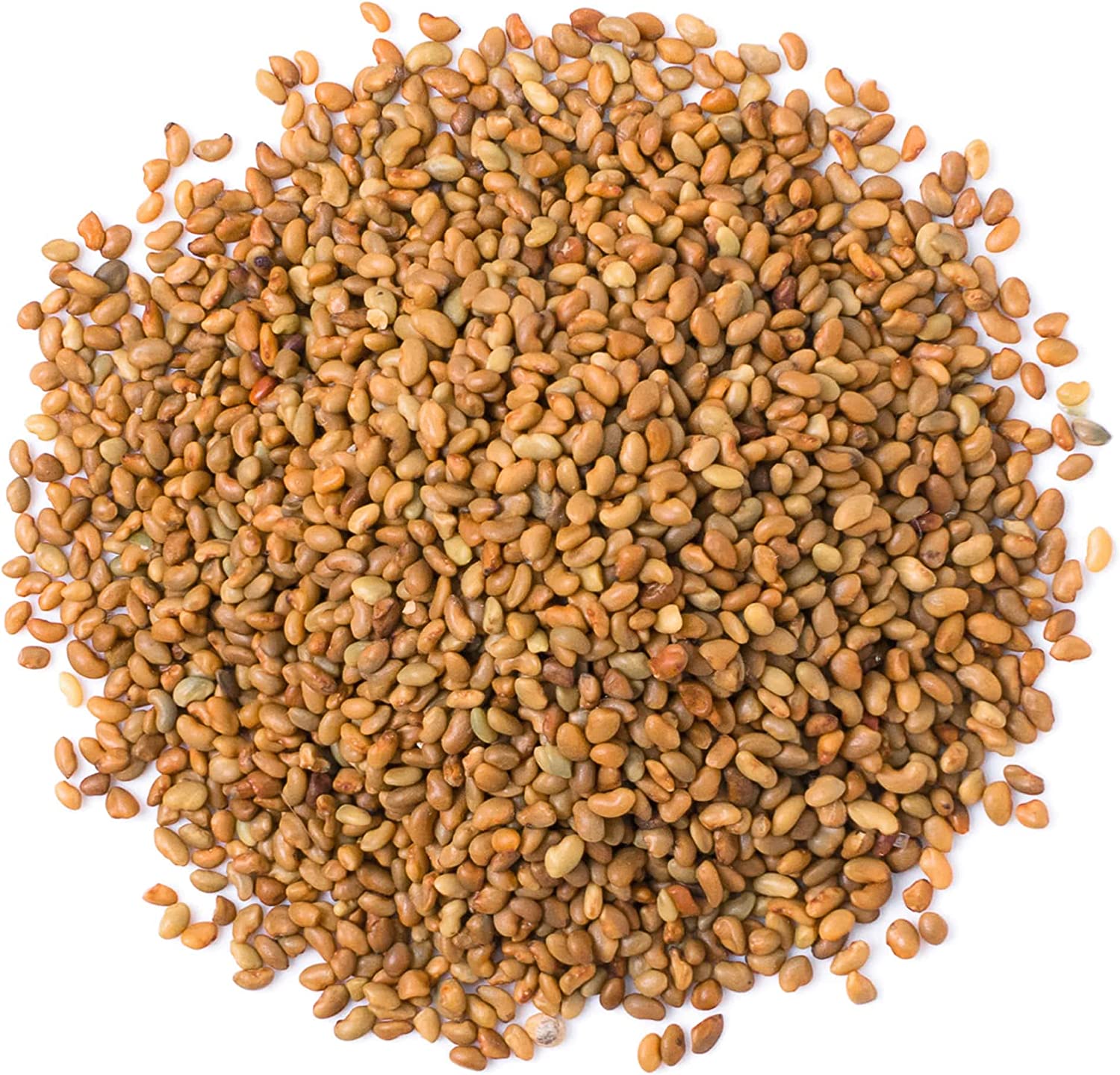 Alfalfa Seeds for Sprouting - Sproutable, Kosher, Raw, Vegan - by Food to Live - Picture 75 of 80