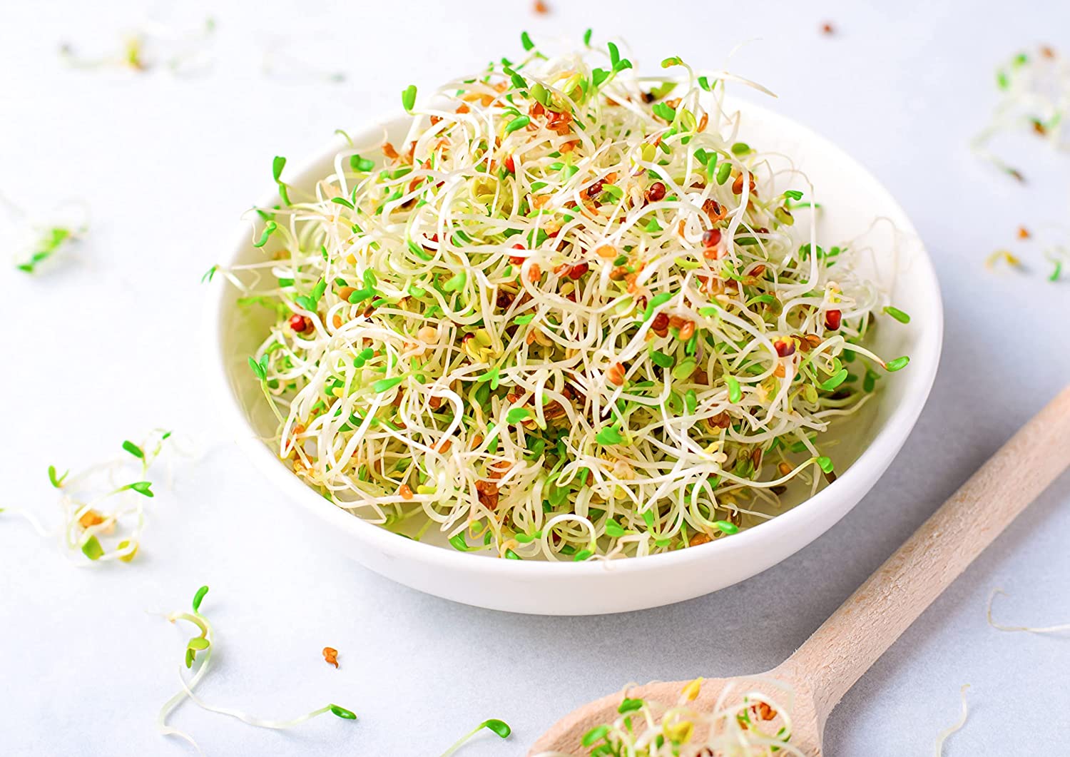 Alfalfa Seeds for Sprouting - Sproutable, Kosher, Raw, Vegan - by Food to Live - Picture 78 of 80