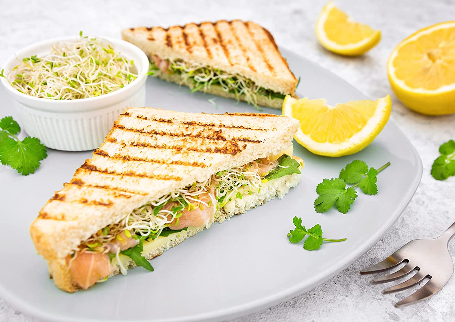 Alfalfa Seeds for Sprouting - Sproutable, Kosher, Raw, Vegan - by Food to Live - Picture 79 of 80