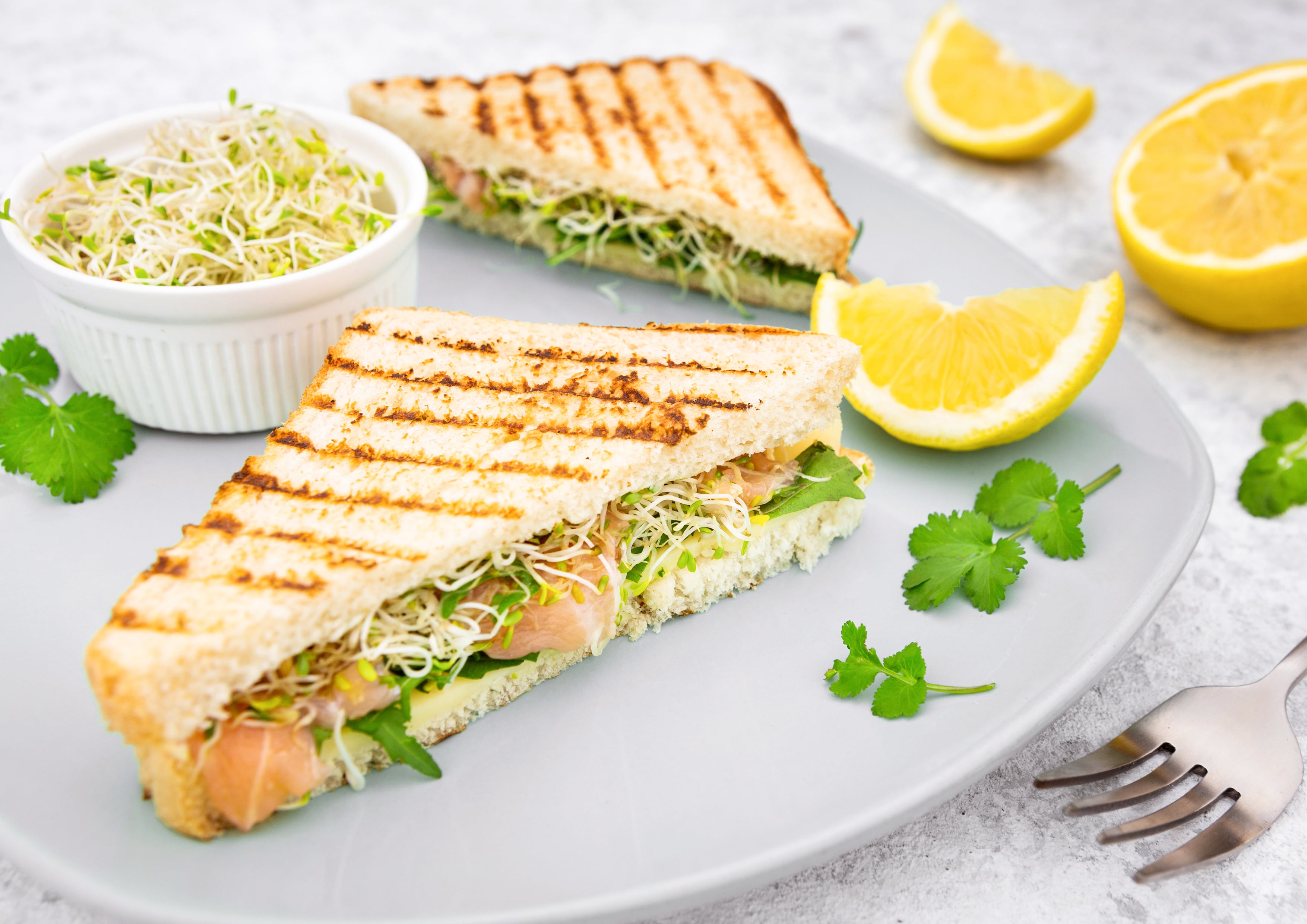 Alfalfa Seeds for Sprouting - Sproutable, Kosher, Raw, Vegan - by Food to Live - Picture 71 of 80