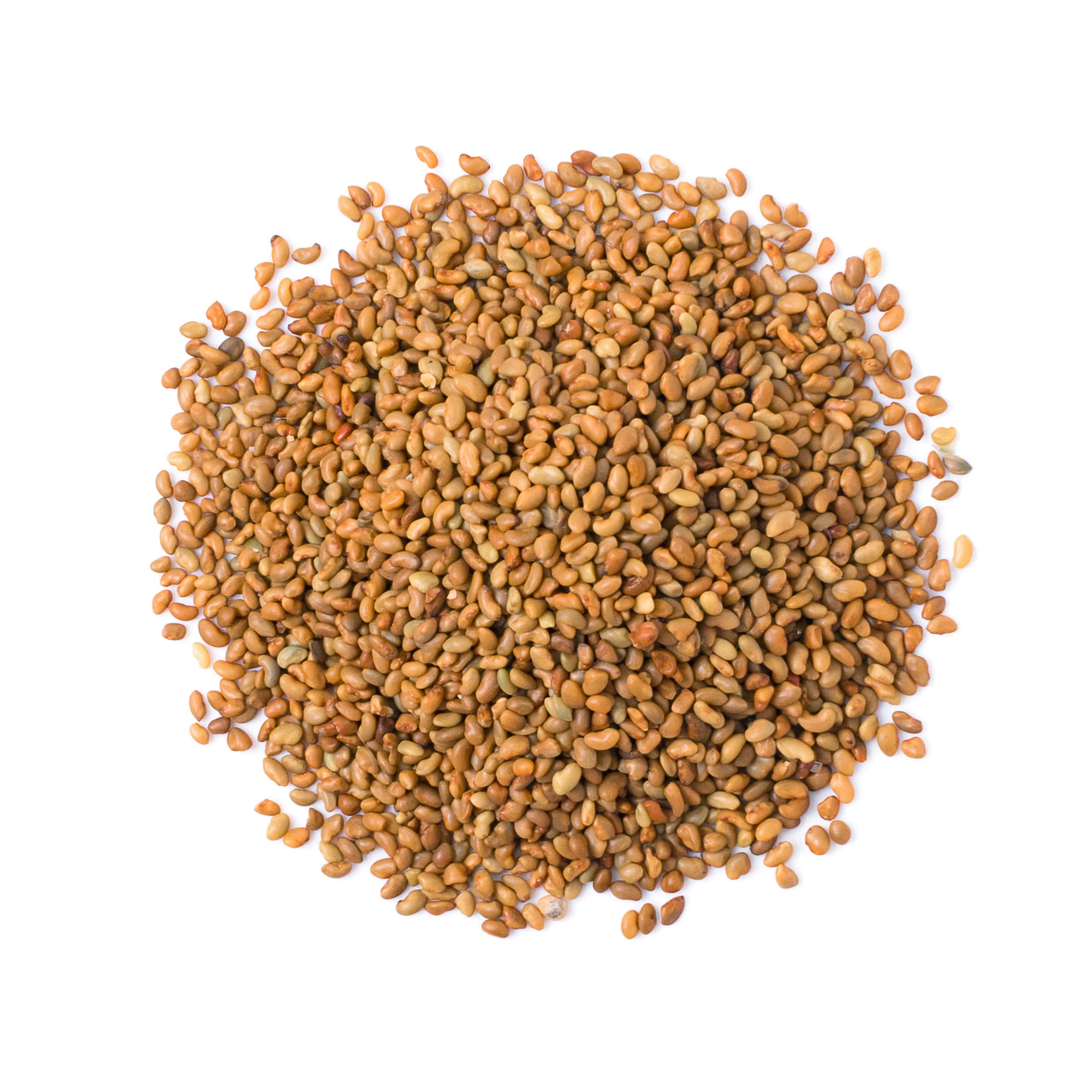 Alfalfa Seeds for Sprouting - Sproutable, Kosher, Raw, Vegan - by Food to Live - Picture 19 of 80