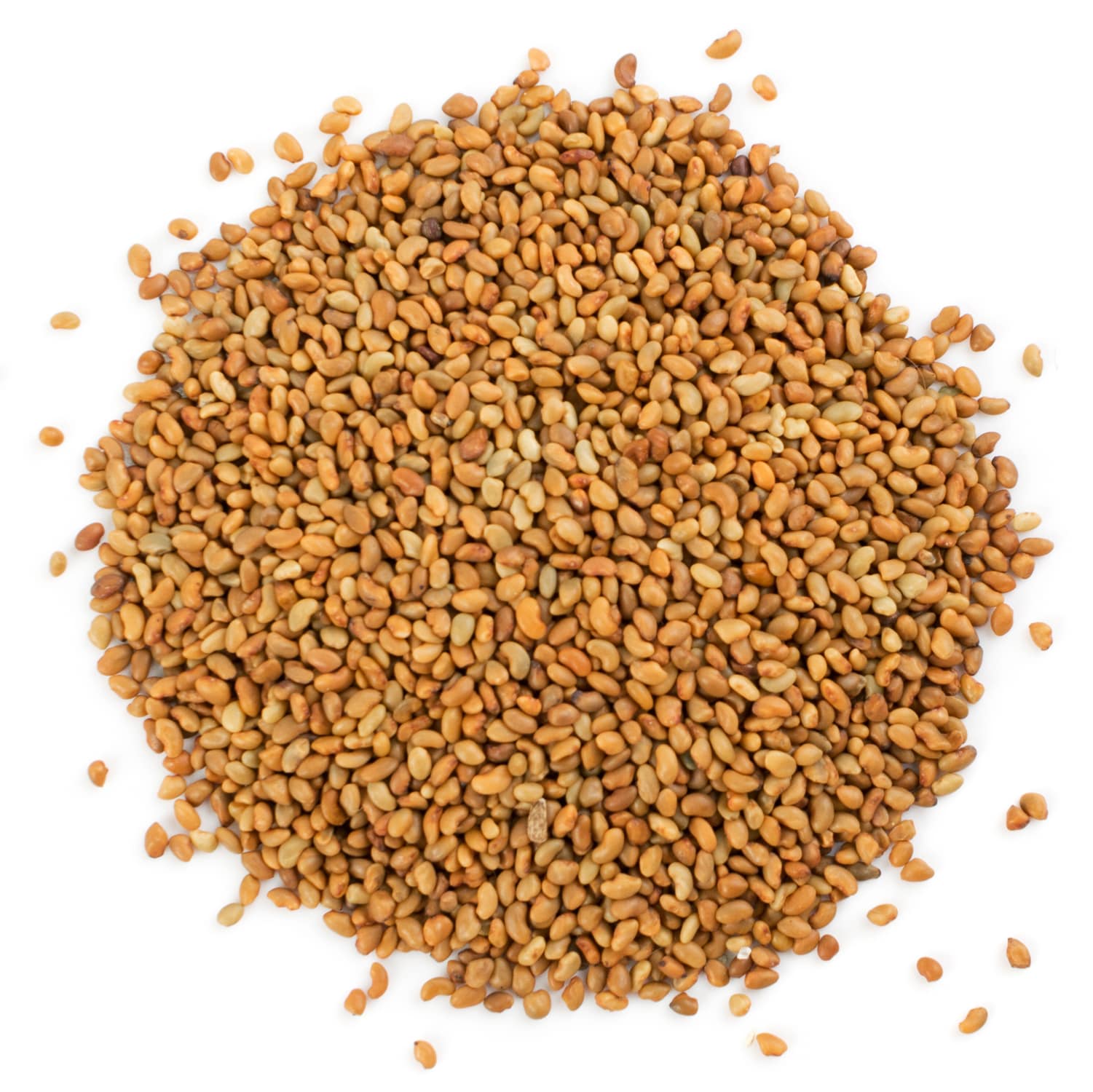Organic Alfalfa Seeds for Sprouting - Non-GMO, Kosher, Vegan - by Food To Live - Picture 60 of 72