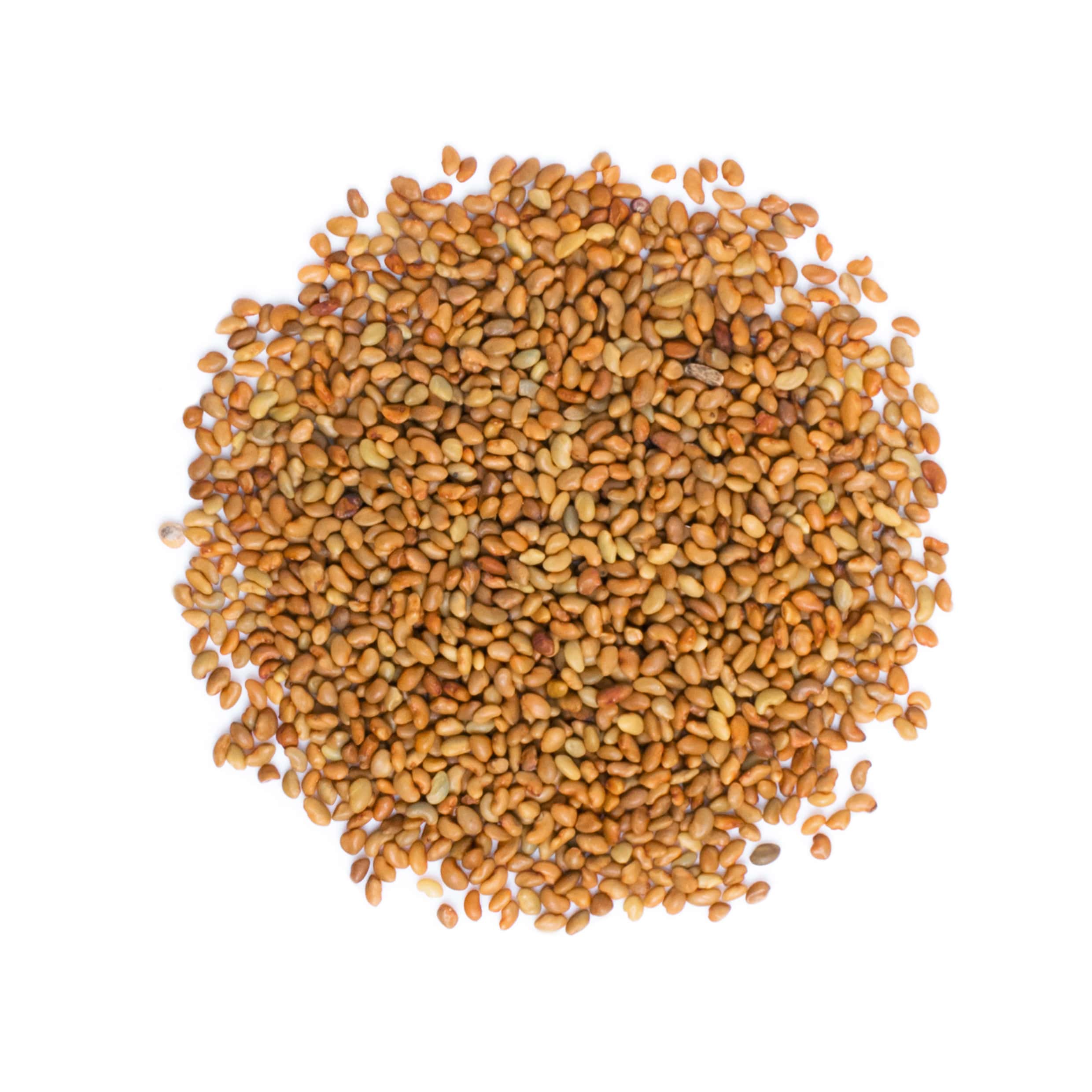 Organic Alfalfa Seeds for Sprouting - Non-GMO, Kosher, Vegan - by Food To Live - Picture 32 of 72