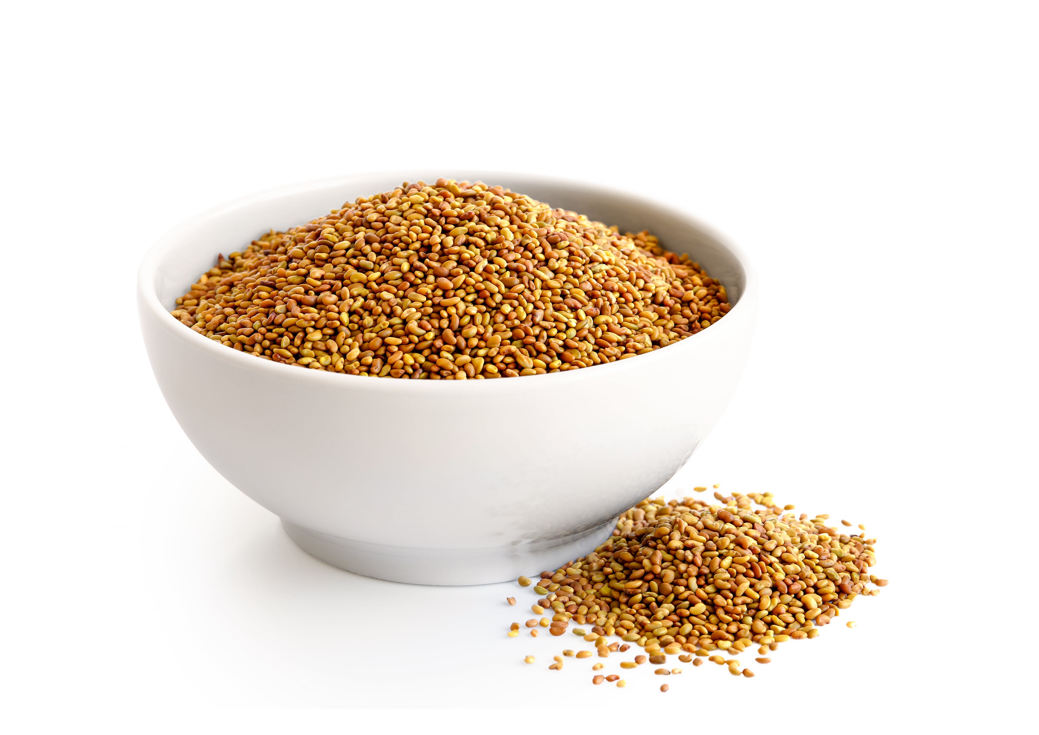 Organic Alfalfa Seeds for Sprouting - Non-GMO, Kosher, Vegan - by Food To Live - Picture 20 of 72