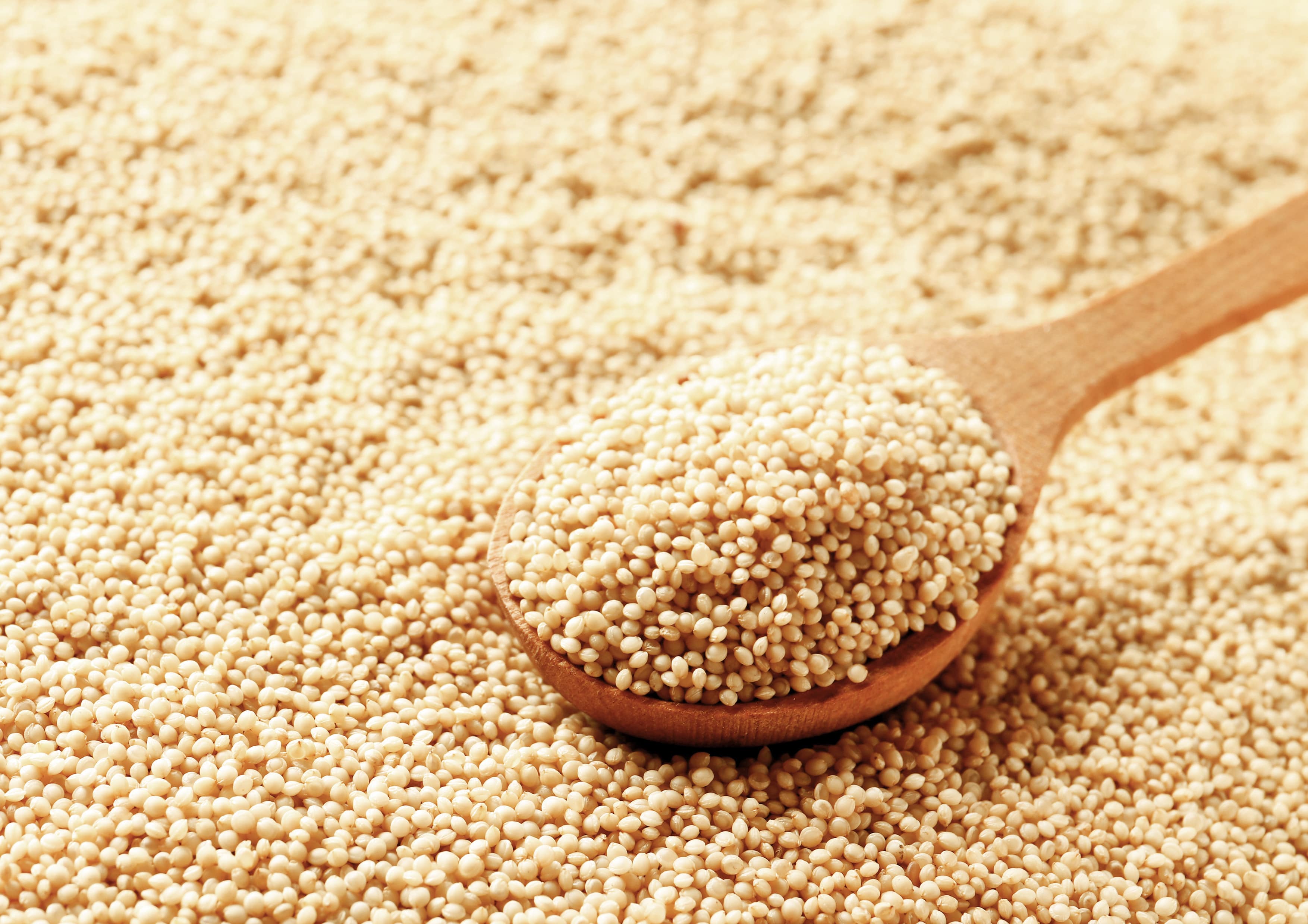 Amaranth Getreide - koscher, roh, vegan - von Food to Live - Bild 45 von 48