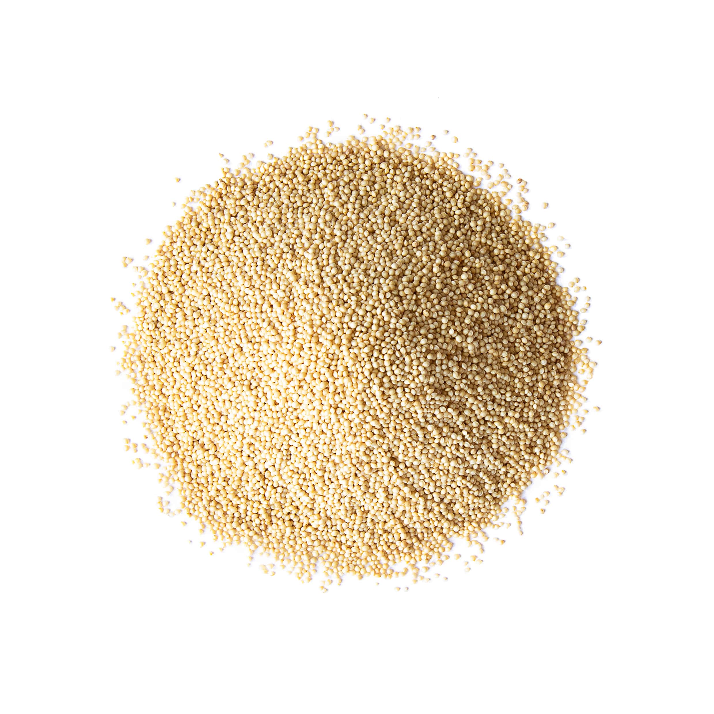 Amaranth Getreide - koscher, roh, vegan - von Food to Live - Bild 43 von 48