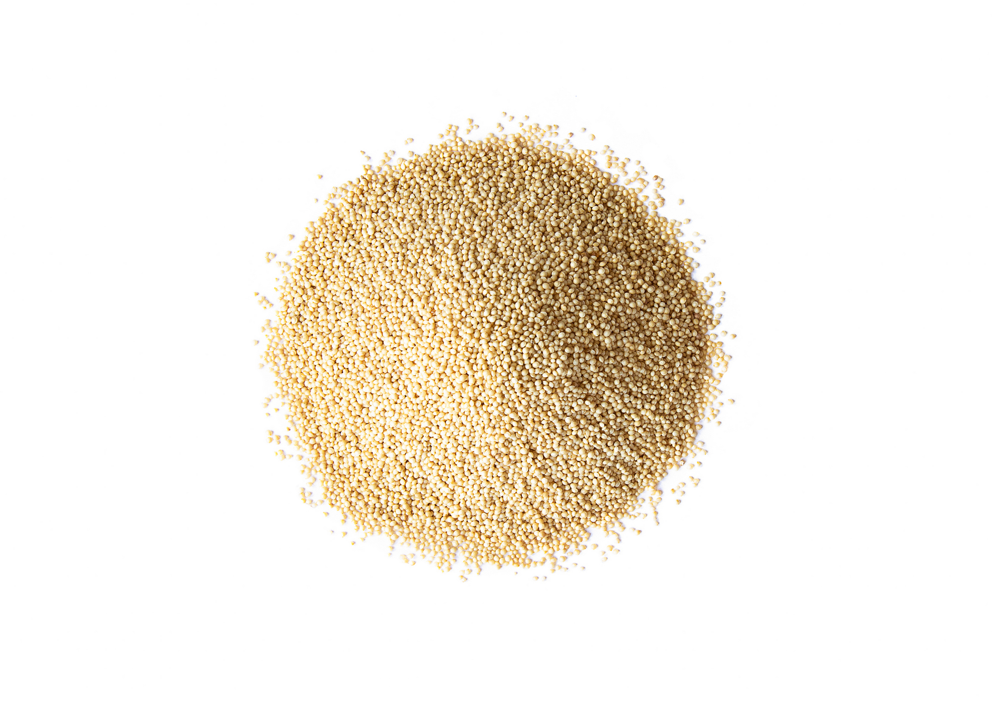 Amaranth Getreide - koscher, roh, vegan - von Food to Live - Bild 22 von 48