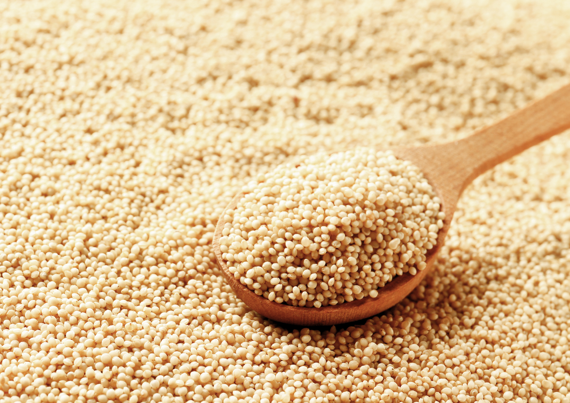 Amaranth Getreide - koscher, roh, vegan - von Food to Live - Bild 26 von 48