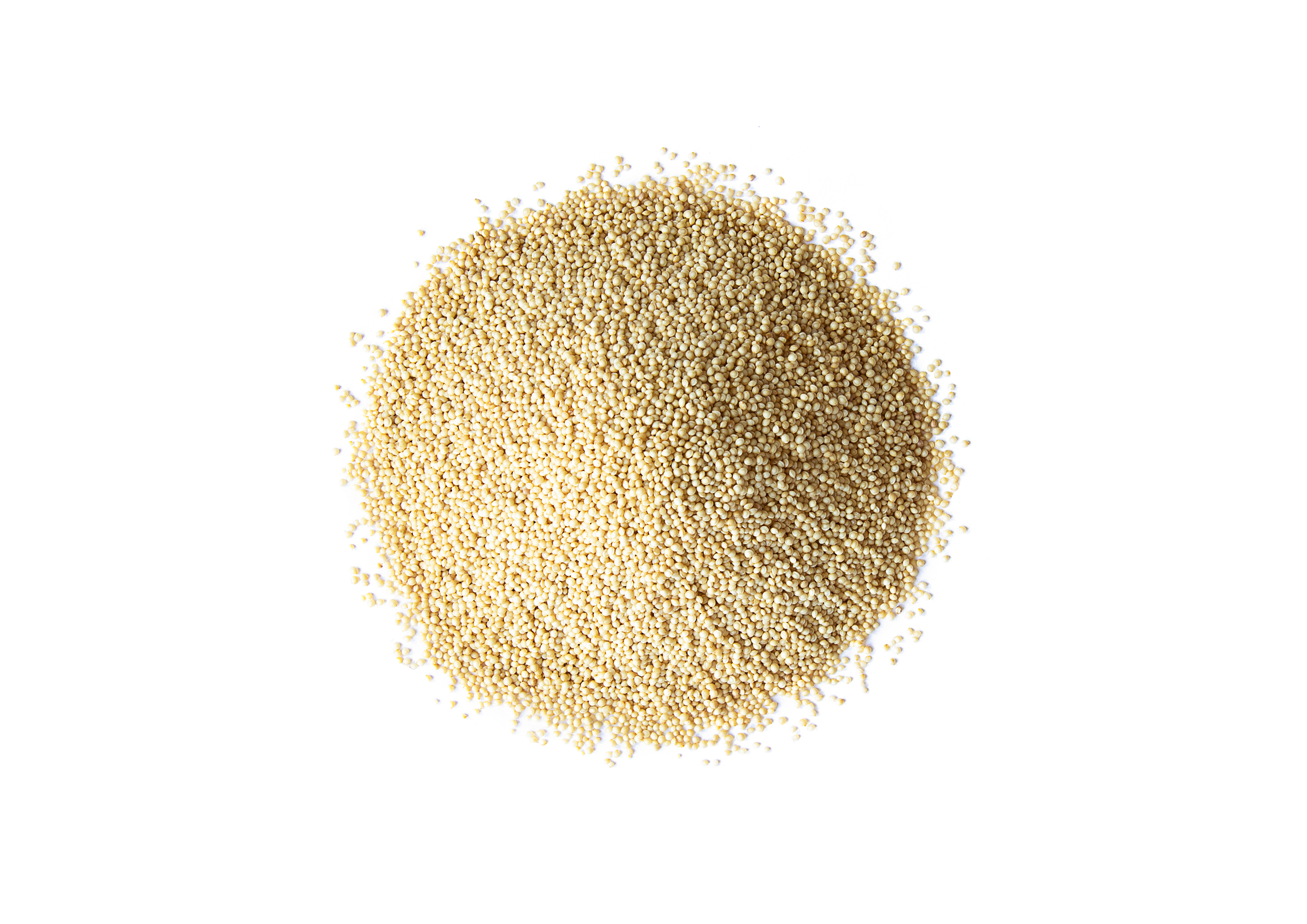 Amaranth Getreide - koscher, roh, vegan - von Food to Live - Bild 10 von 48