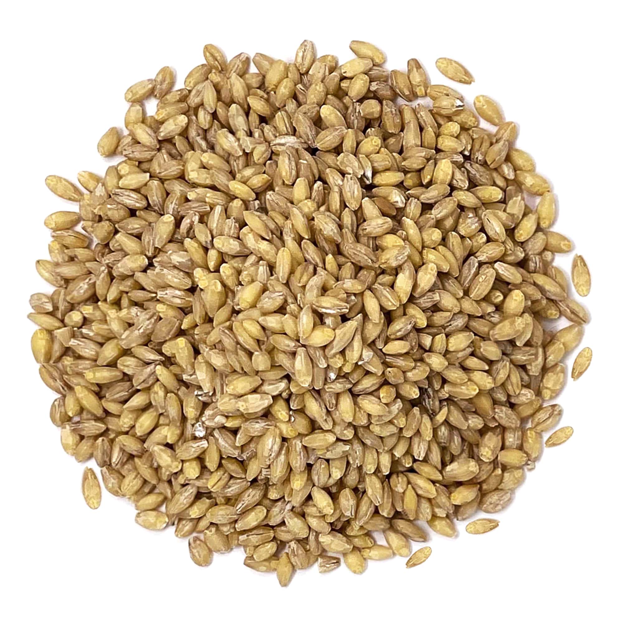 Bio geschälte Gerste - gentechnikfrei, koscher, roh, vegan - von Food To Live - Bild 60 von 65