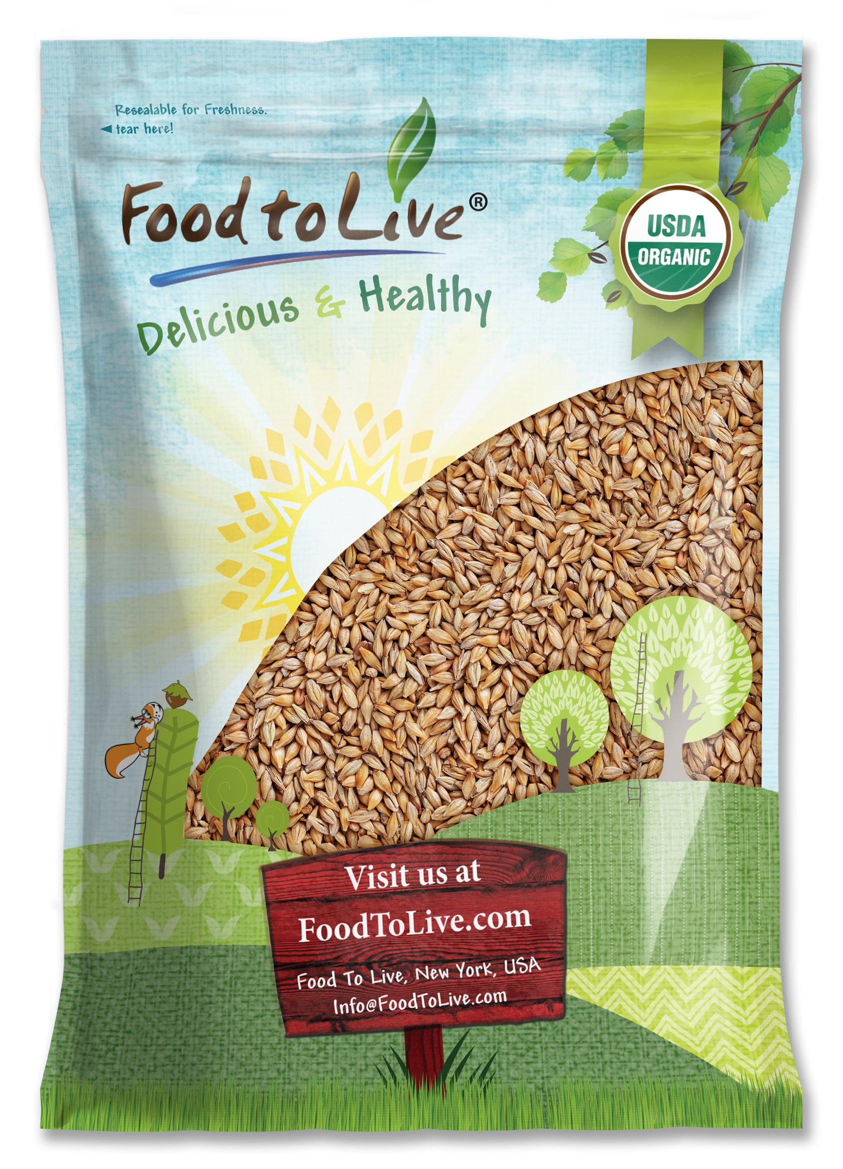 Organic Whole Unhulled Barley – Premium Quality Seeds with Husk Intact. Kosher