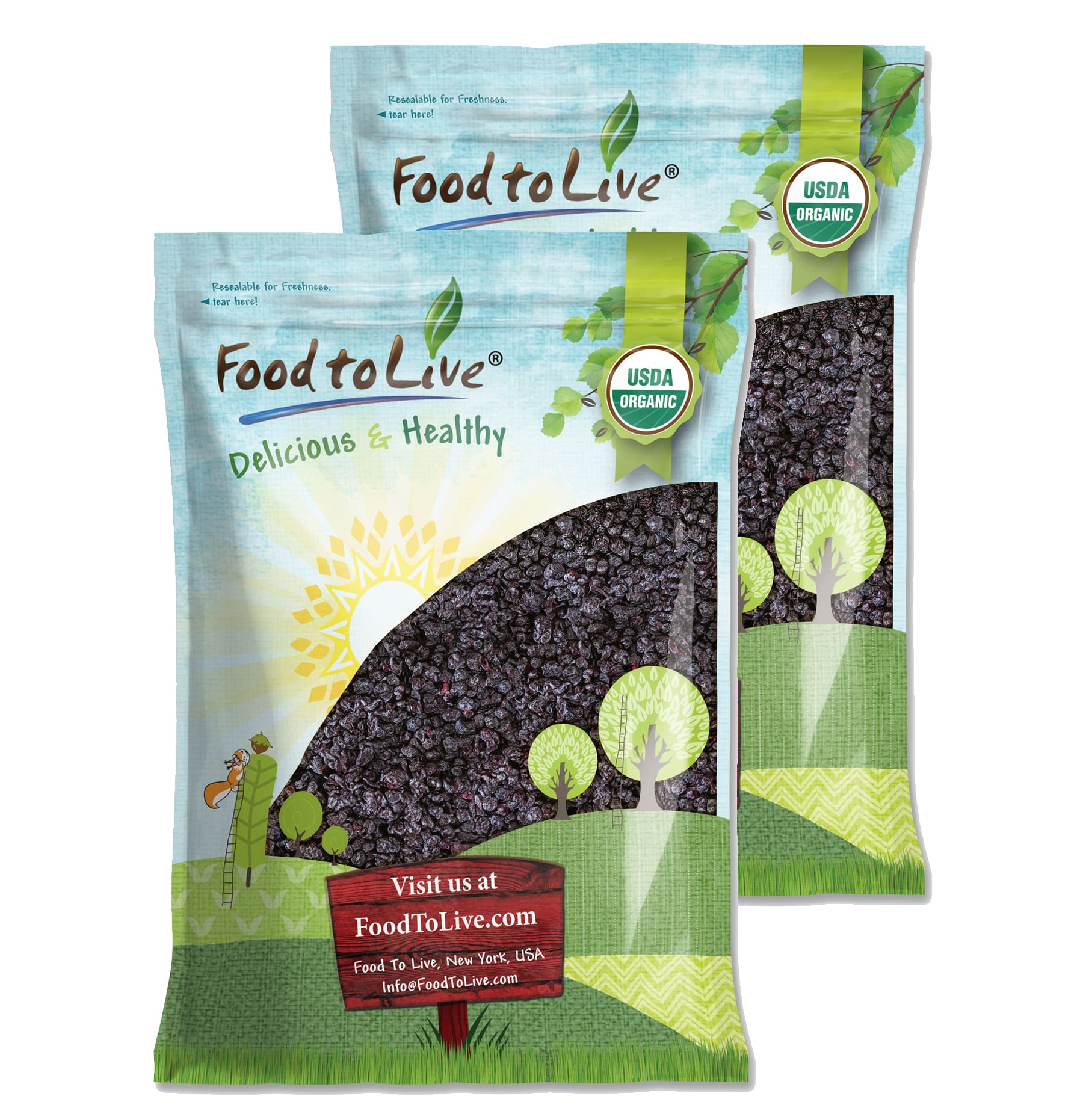 Dried Blueberries - Vegan - by Food To Live - Picture 57 of 64