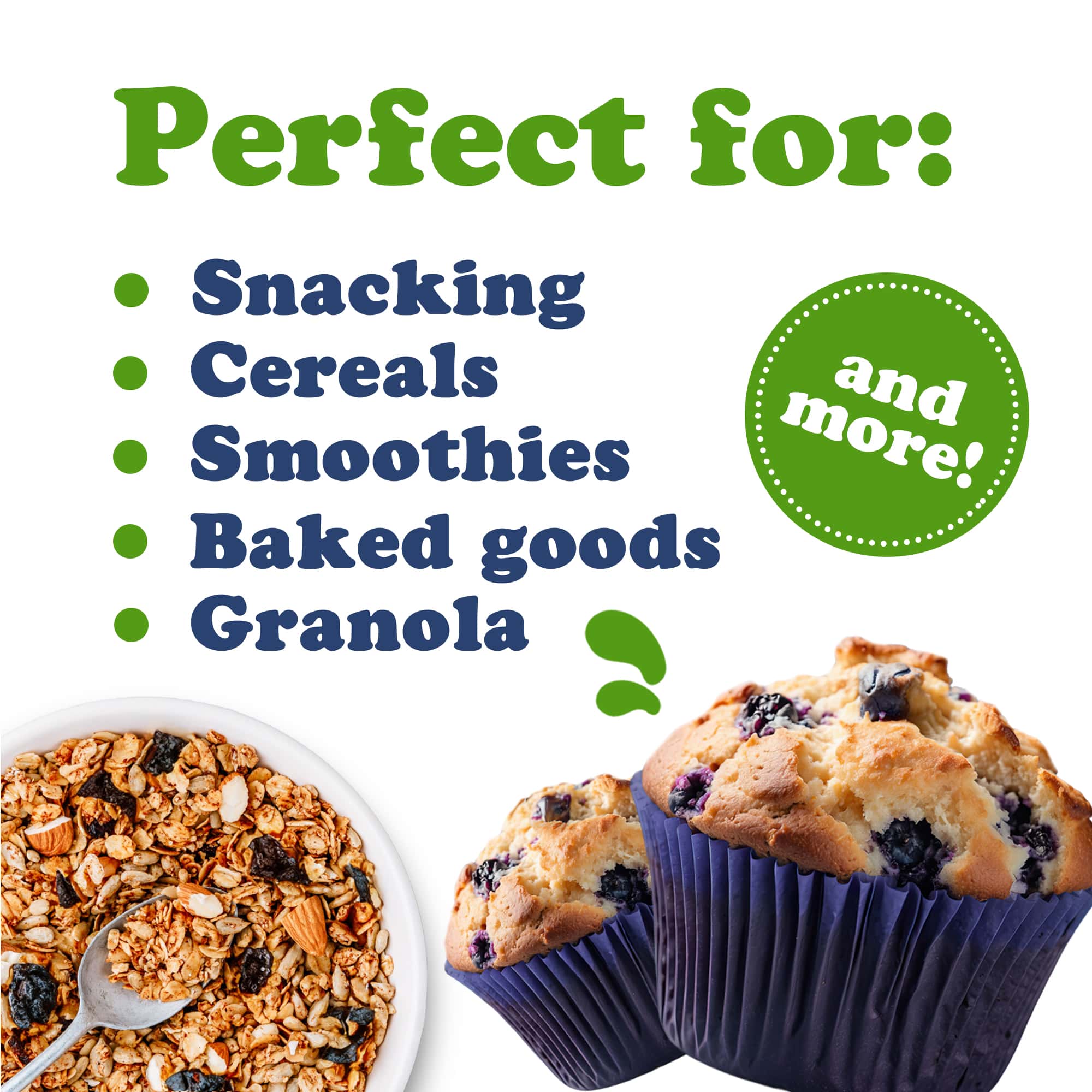 Dried Blueberries - Vegan - by Food To Live - Picture 48 of 64
