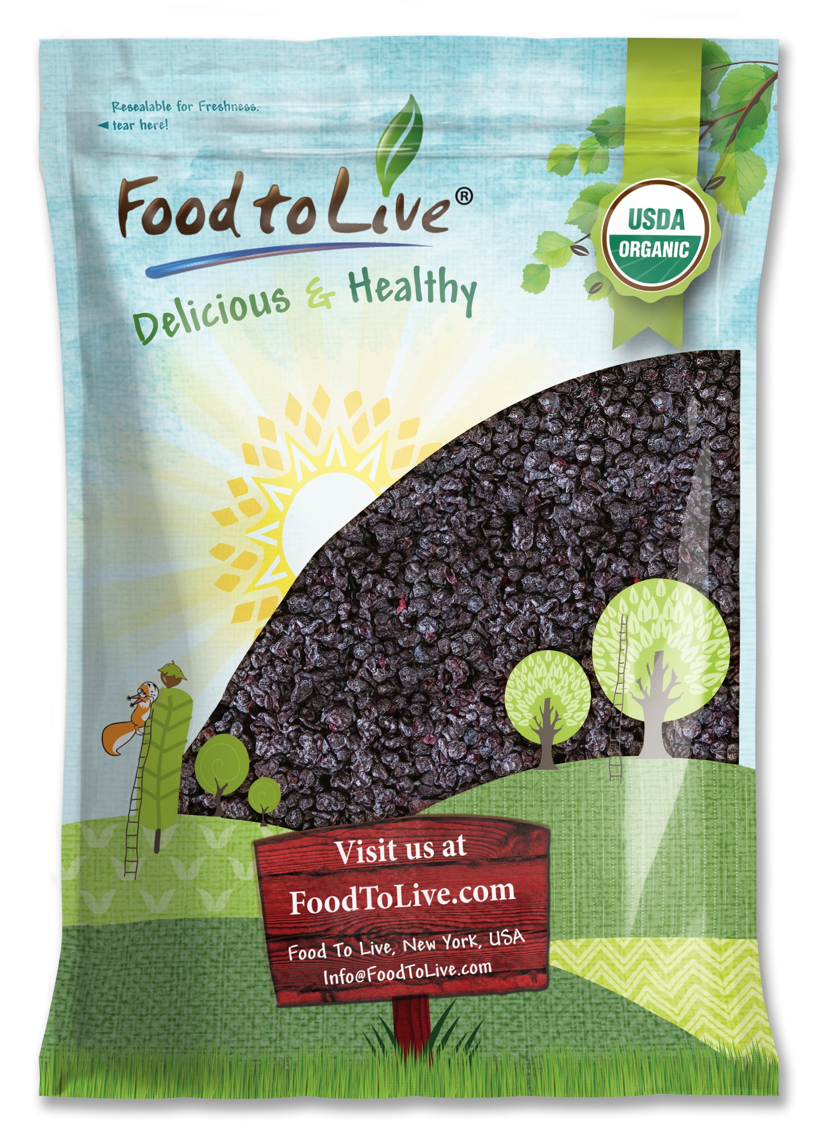 Dried Blueberries - Vegan - by Food To Live - Picture 49 of 64