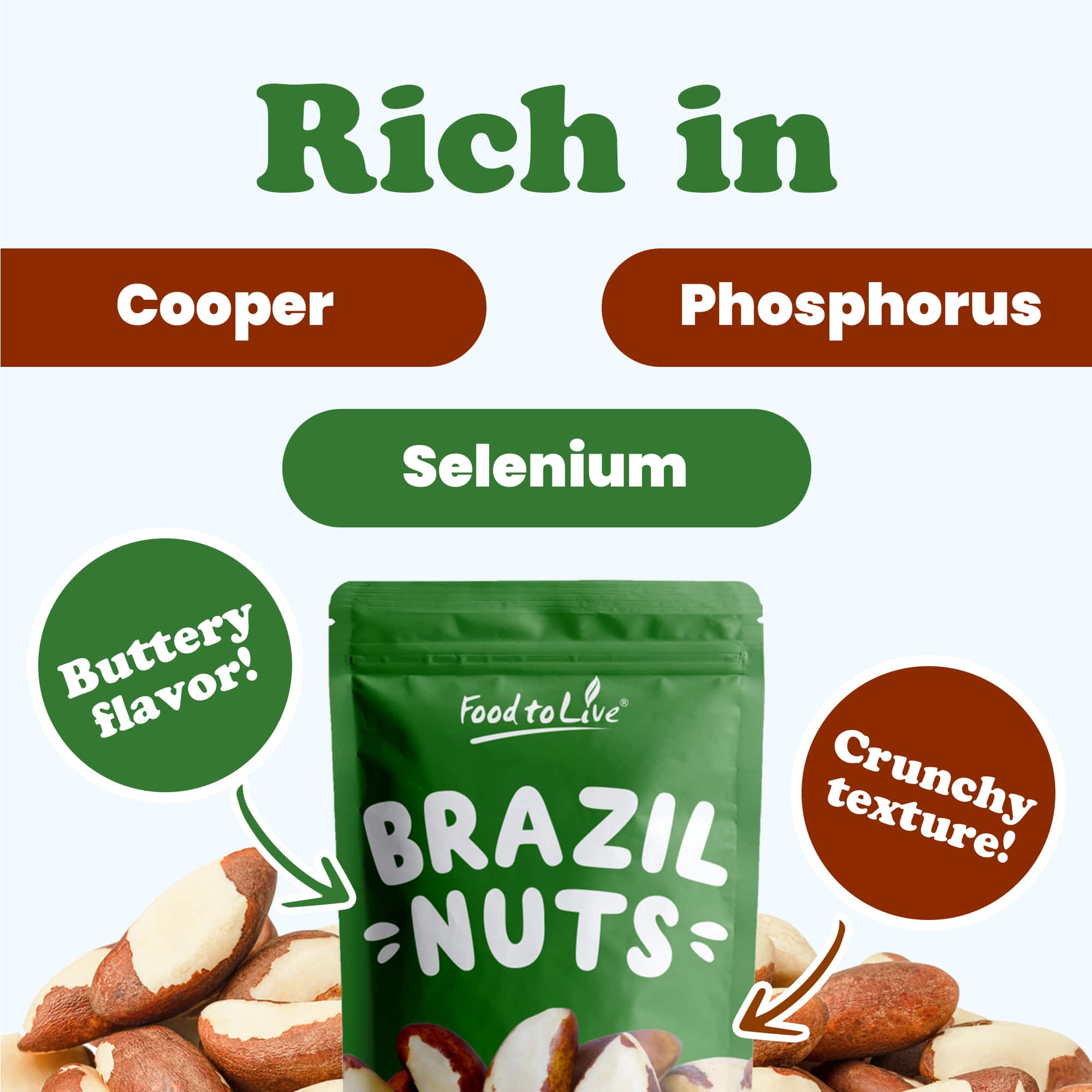 Brazil Nuts, Non-GMO Verified - Kosher, Raw, Vegan - by Food To Live - Picture 27 of 111