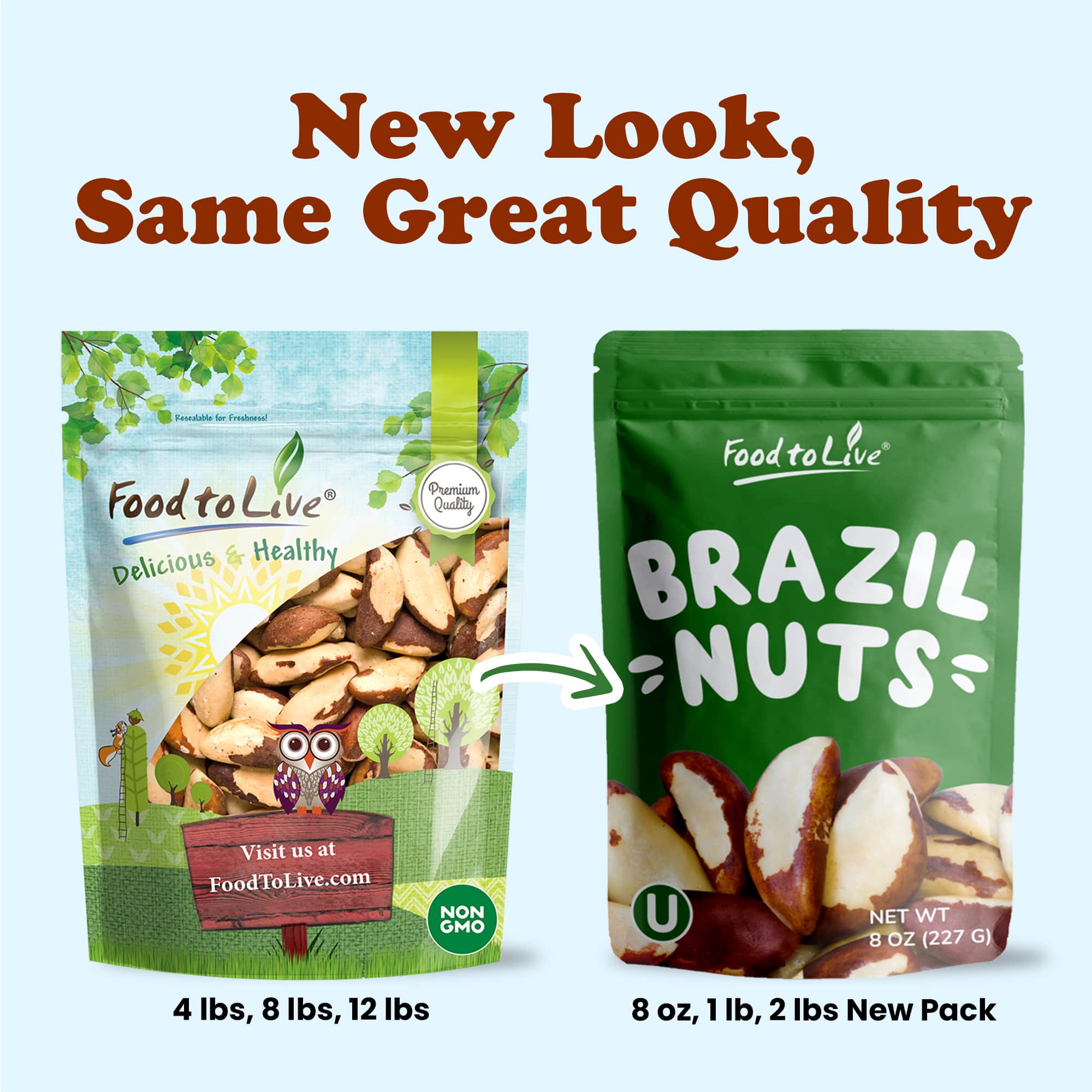 Brazil Nuts, Non-GMO Verified - Kosher, Raw, Vegan - by Food To Live - Picture 30 of 111