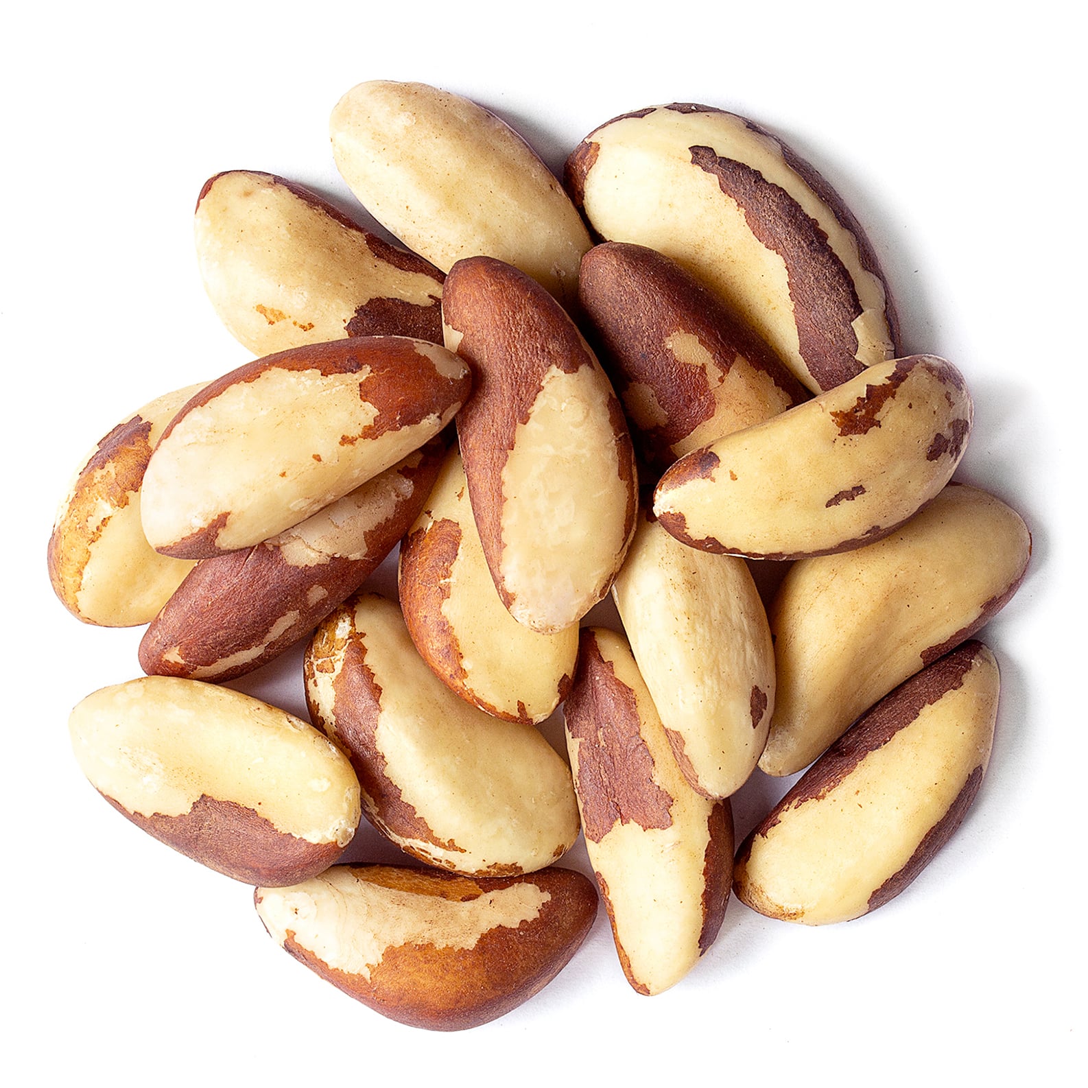 Brazil Nuts, Non-GMO Verified - Kosher, Raw, Vegan - by Food To Live - Picture 96 of 111