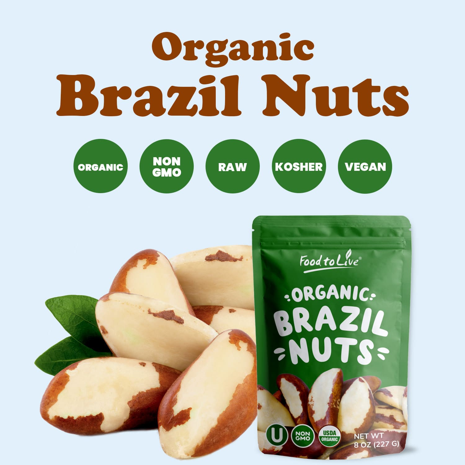 Organic Brazil Nuts - Non-GMO, Kosher, Raw, Vegan - by Food To Live - Picture 15 of 90