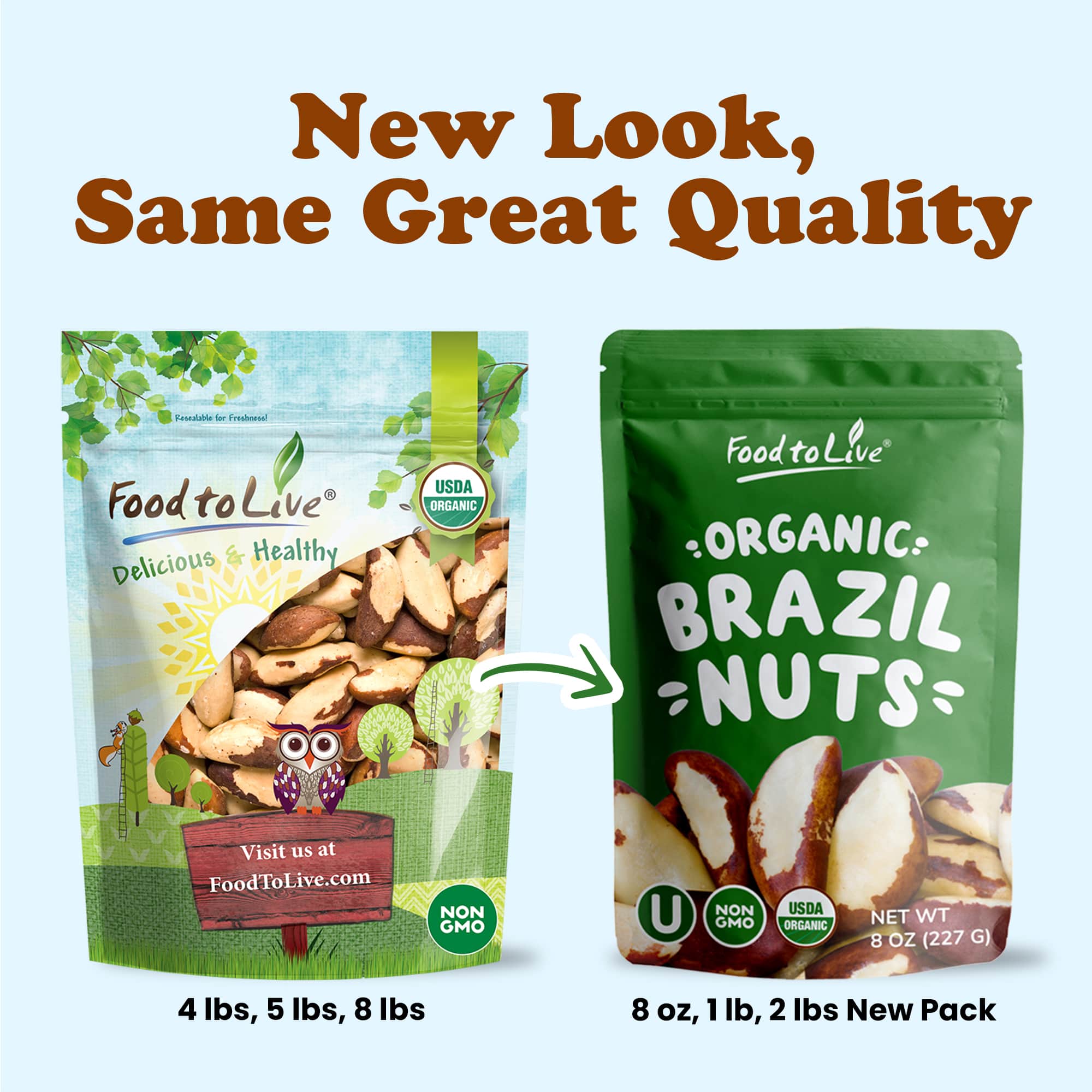 Organic Brazil Nuts - Non-GMO, Kosher, Raw, Vegan - by Food To Live - Picture 27 of 90