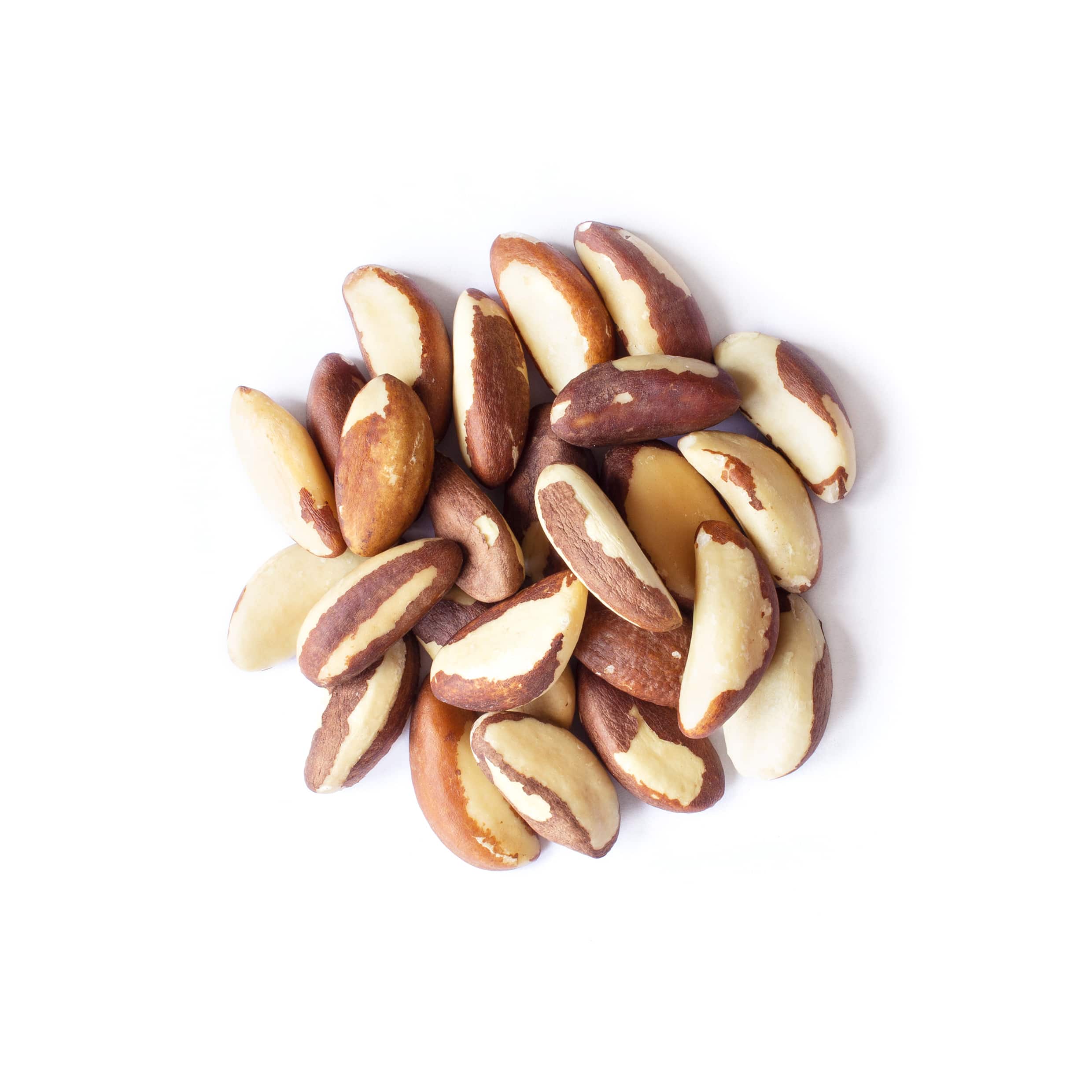Organic Brazil Nuts - Non-GMO, Kosher, Raw, Vegan - by Food To Live - Picture 21 of 90