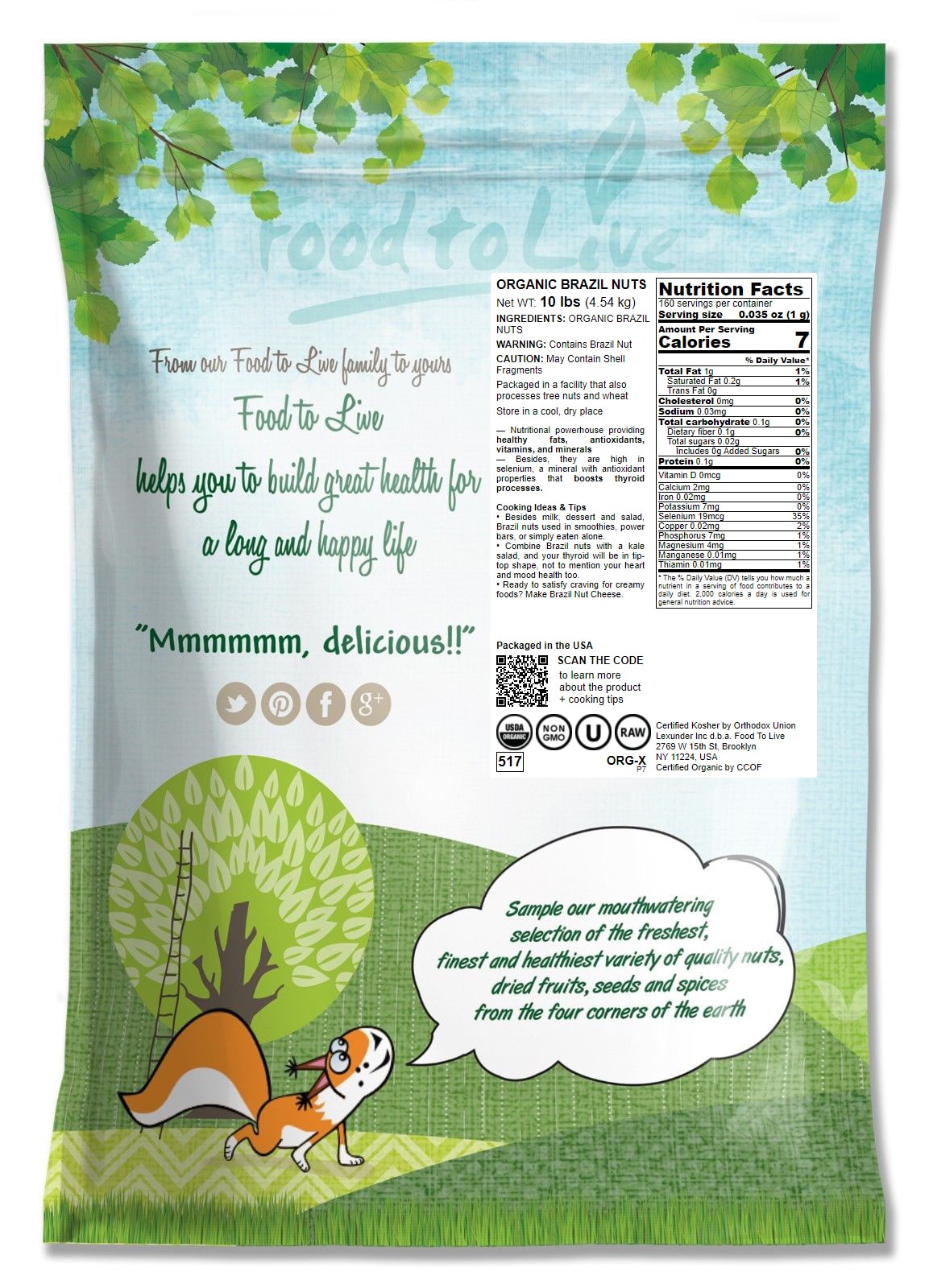 Organic Brazil Nuts - Non-GMO, Kosher, Raw, Vegan - by Food To Live - Picture 20 of 90