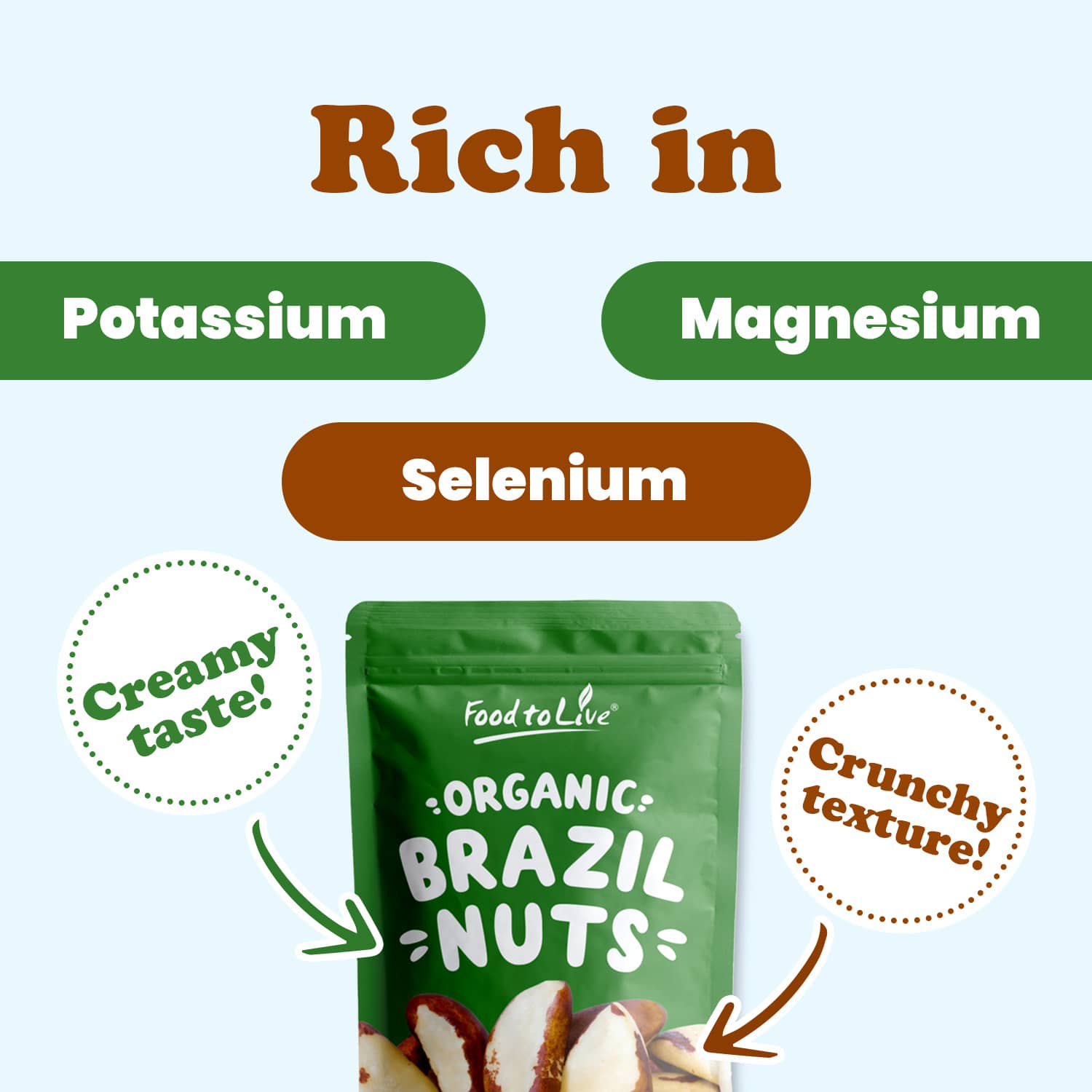 Organic Brazil Nuts - Non-GMO, Kosher, Raw, Vegan - by Food To Live - Picture 42 of 90
