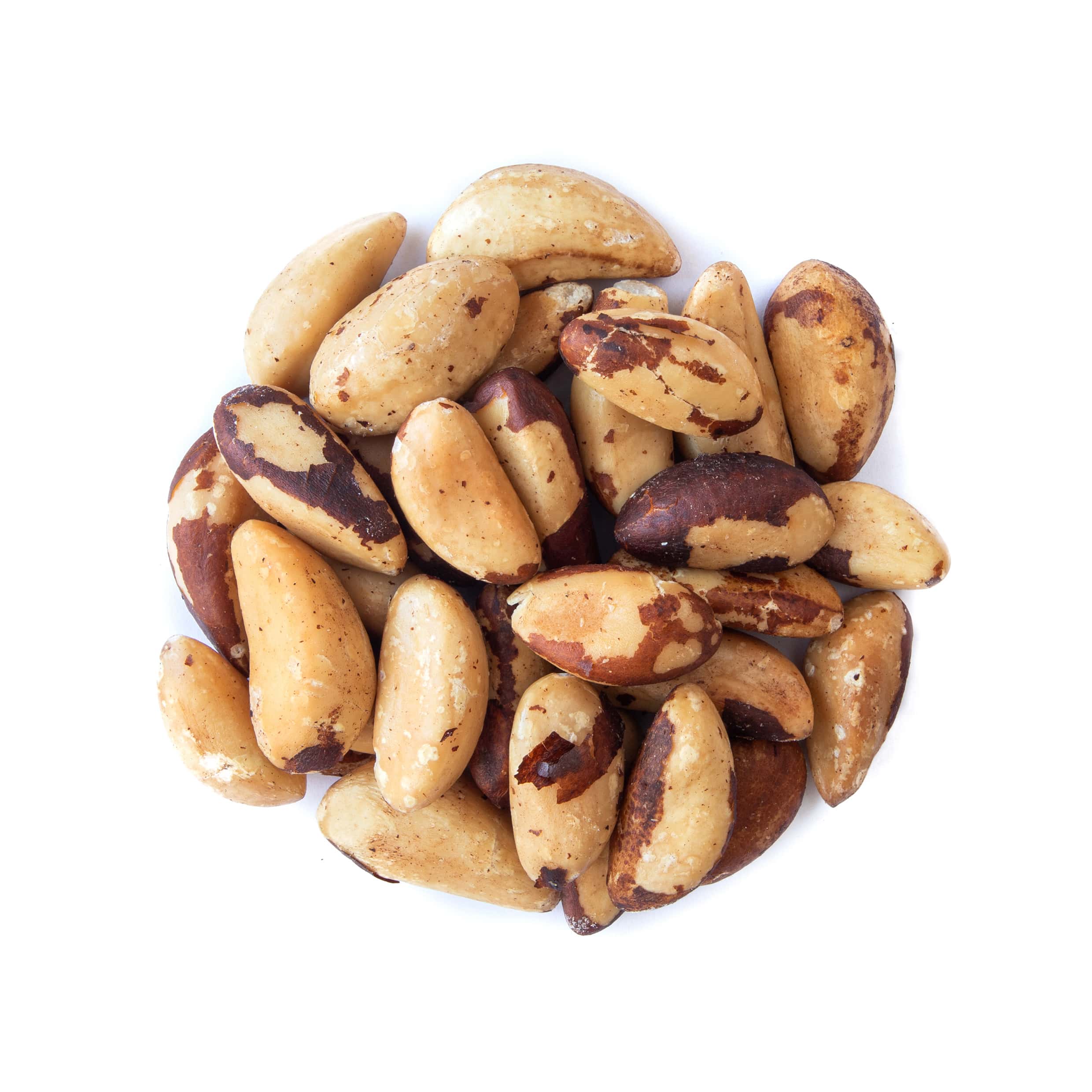 Organic Dry Roasted Brazil Nuts - Non-GMO, Kosher, Vegan - by Food to Live - Picture 18 of 36