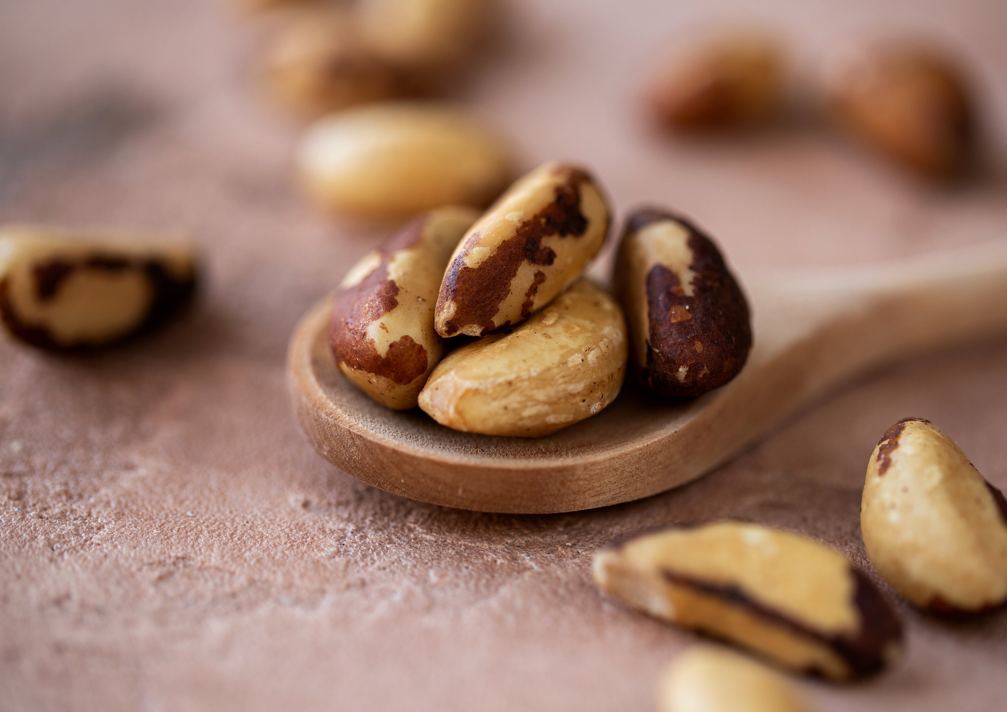 Organic Dry Roasted Brazil Nuts - Non-GMO, Kosher, Vegan - by Food to Live - Picture 13 of 36