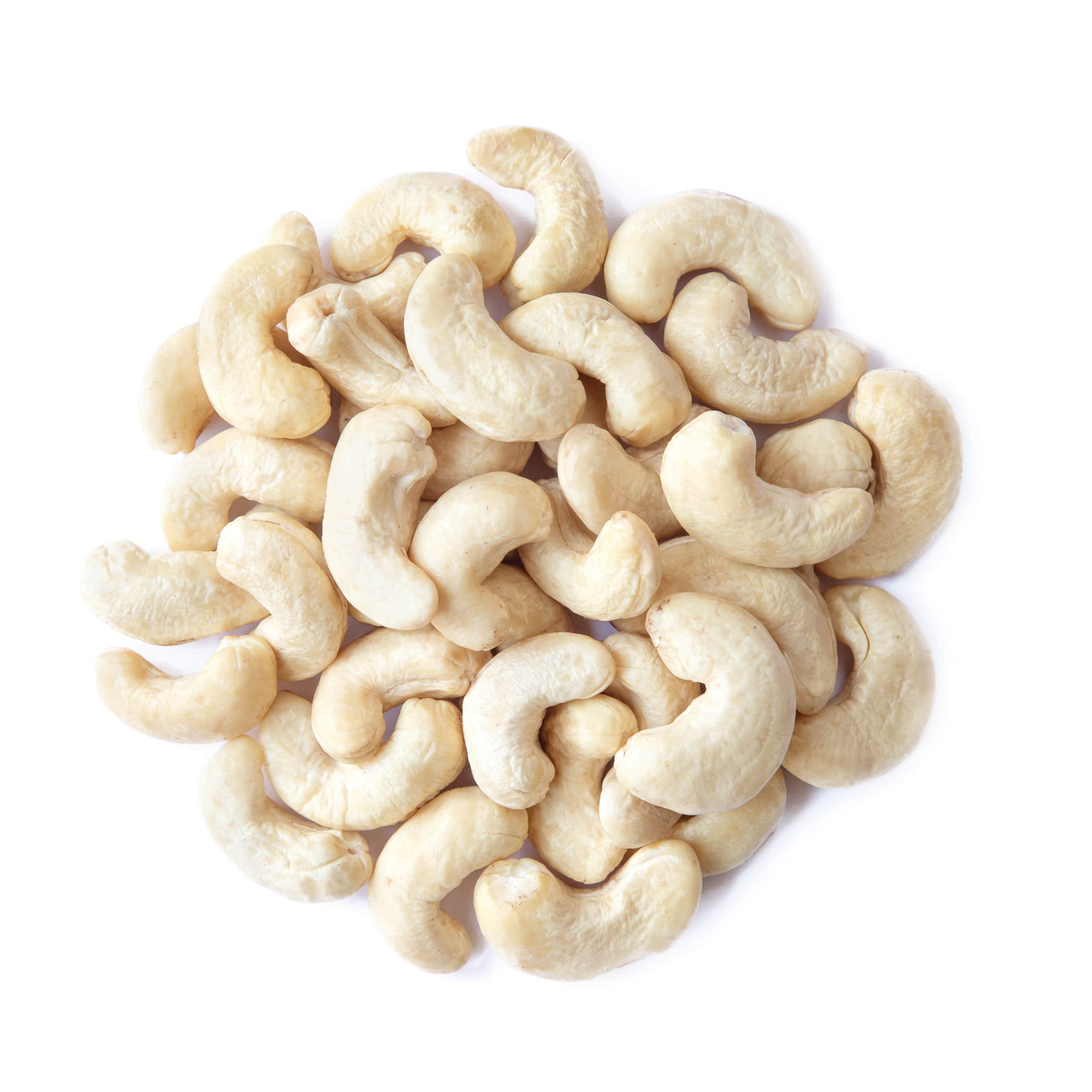 Whole Large Cashews W240, Non-GMO Verified - Kosher, Raw - by Food To Live - Picture 48 of 72