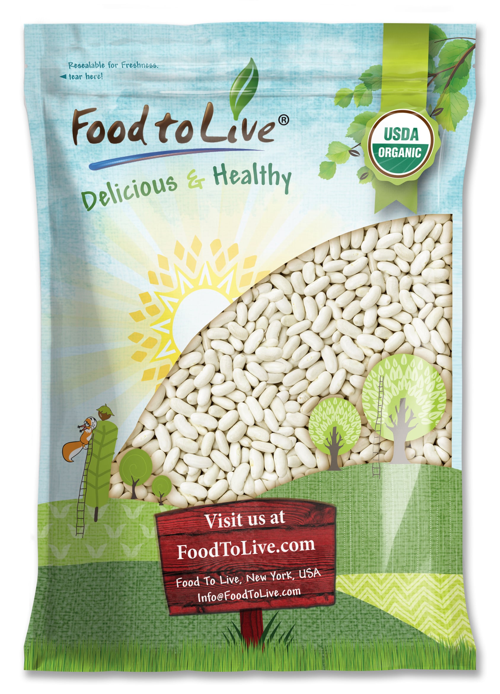 Organic Cannellini Beans - Non-GMO, Kosher, Raw, Vegan - by Food To Live - Picture 29 of 49