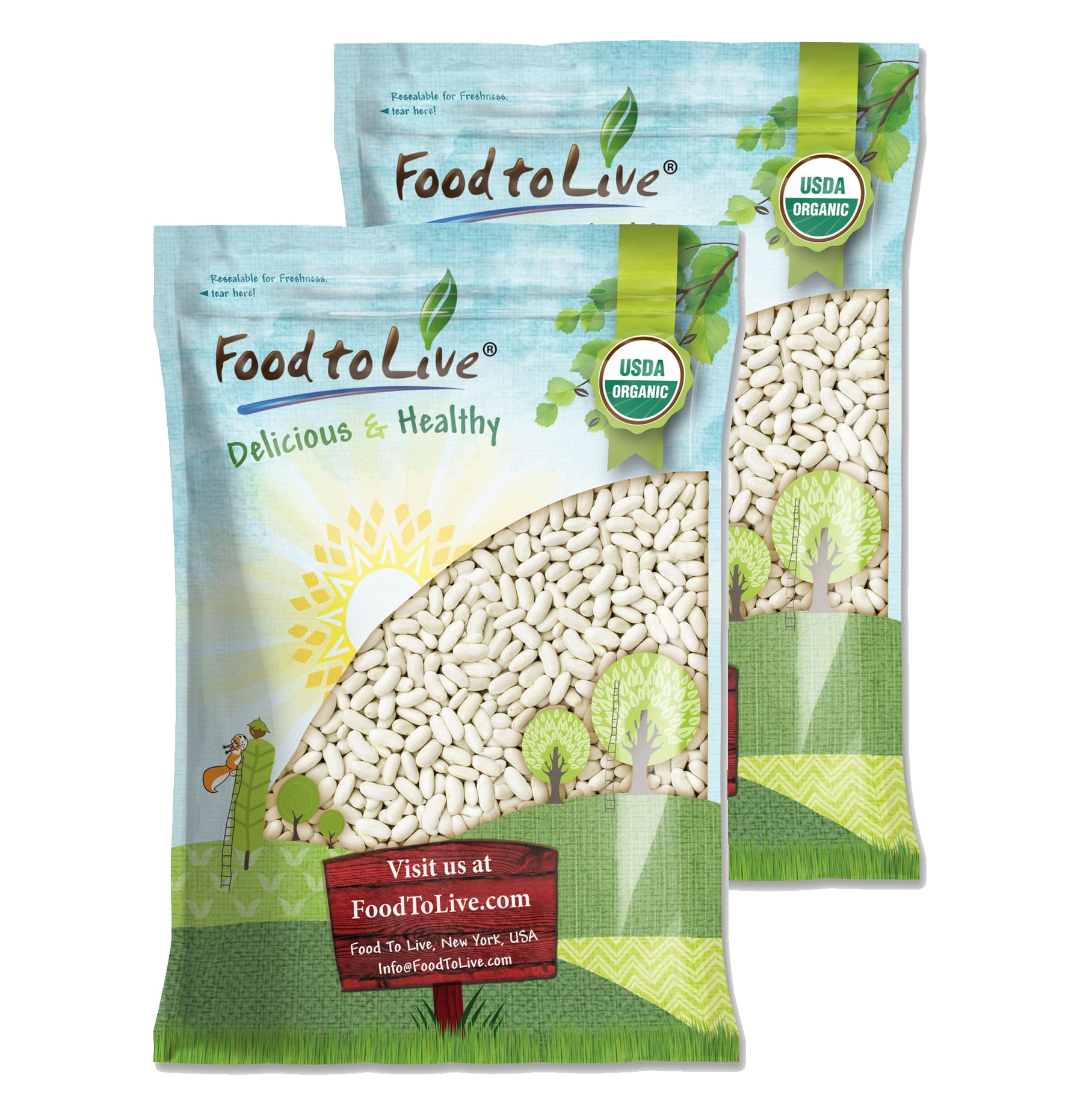 Organic Cannellini Beans - Non-GMO, Kosher, Raw, Vegan - by Food To Live - Picture 43 of 49