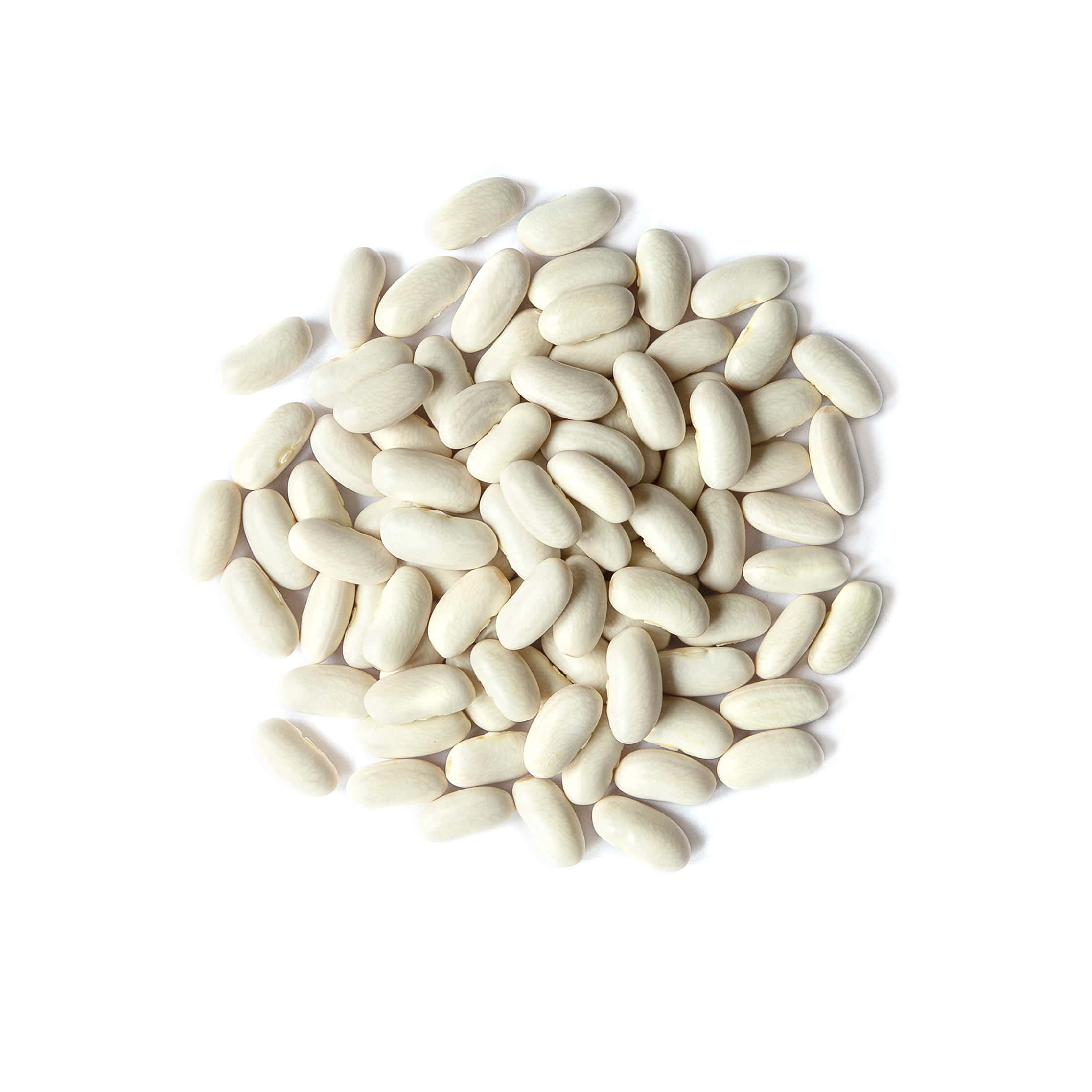 Organic Cannellini Beans - Non-GMO, Kosher, Raw, Vegan - by Food To Live - Picture 45 of 49