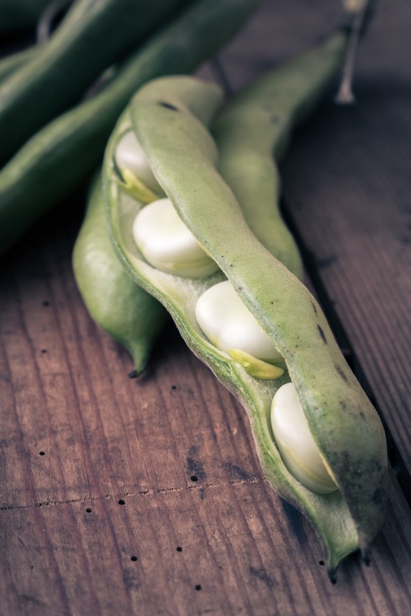 Organic Cannellini Beans - Non-GMO, Kosher, Raw, Vegan - by Food To Live - Picture 28 of 49