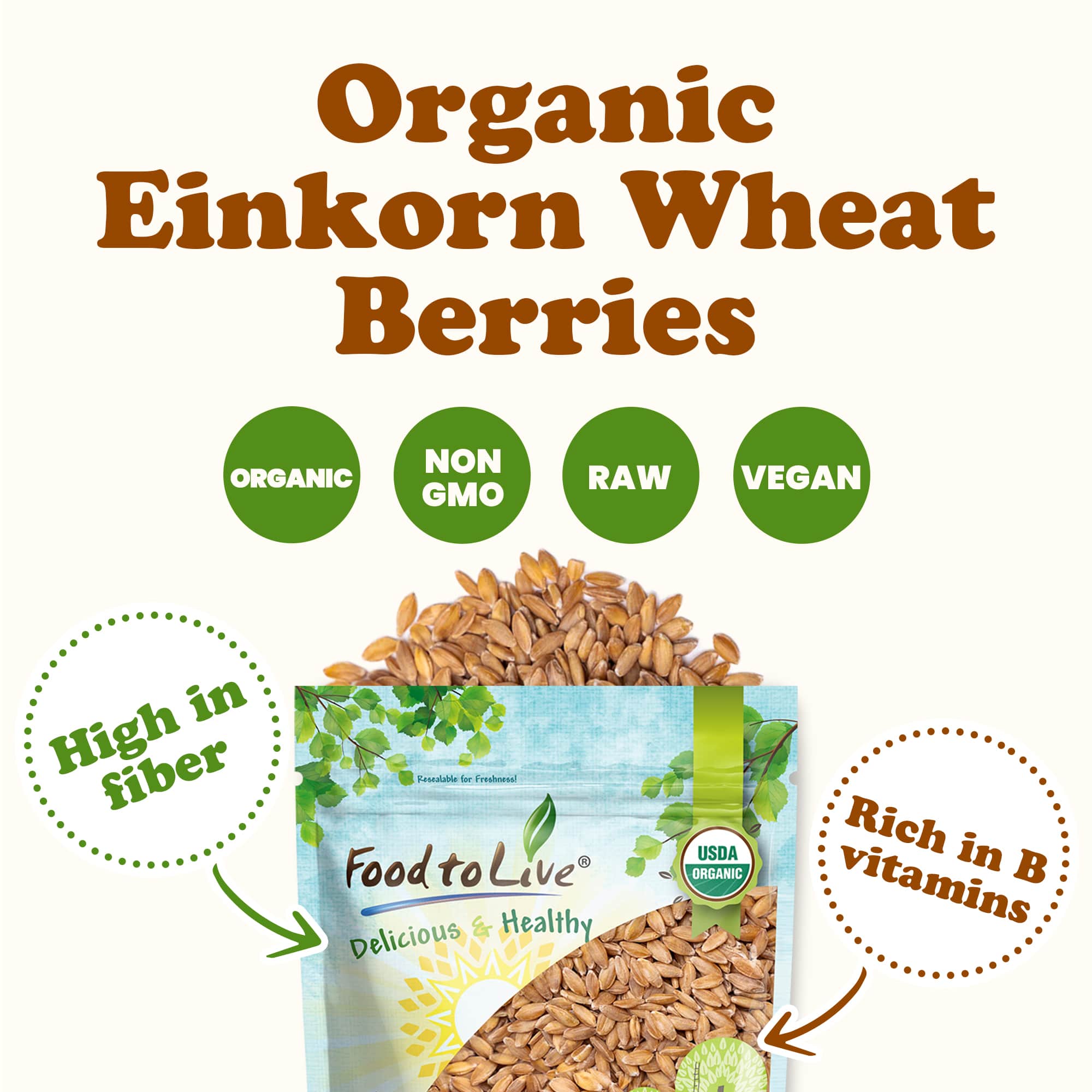 Organic Einkorn Wheat Berries NonGMO Whole Grain. Farro Piccolo in