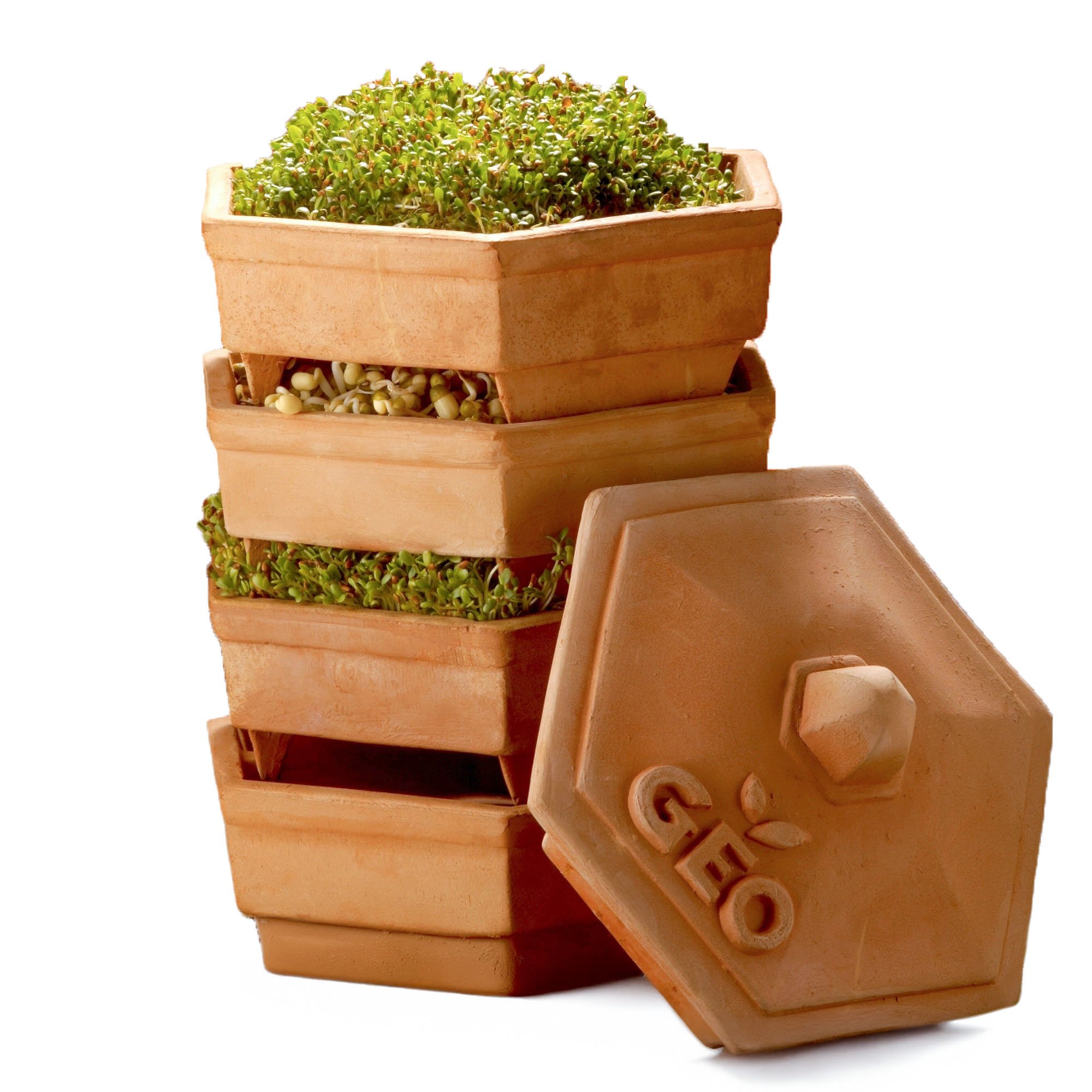 GEO Sprouter "Terradisiena"