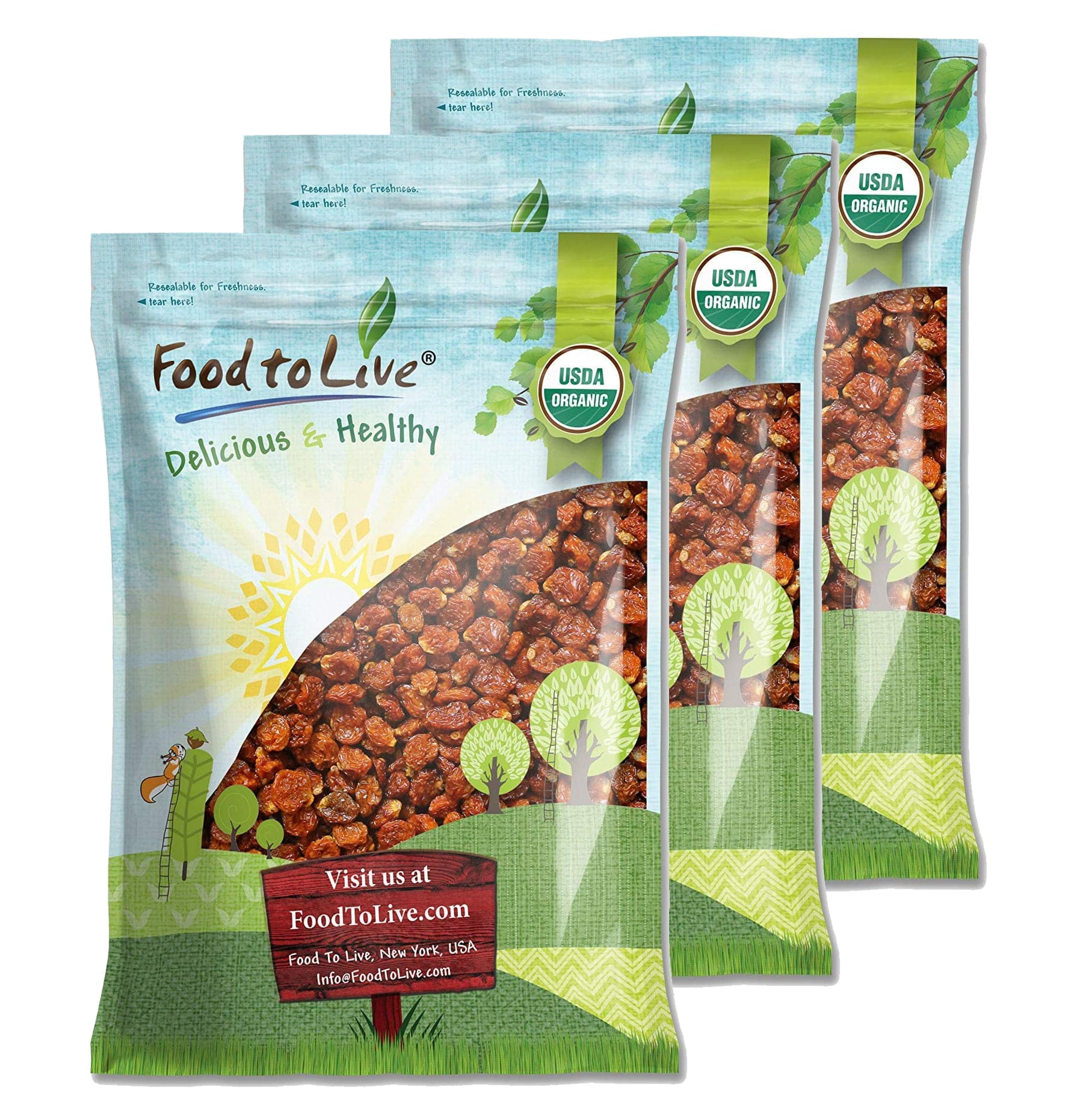Organic Golden Berries - Non-GMO, Kosher, Raw, Vegan - by Food to Live - Picture 51 of 57